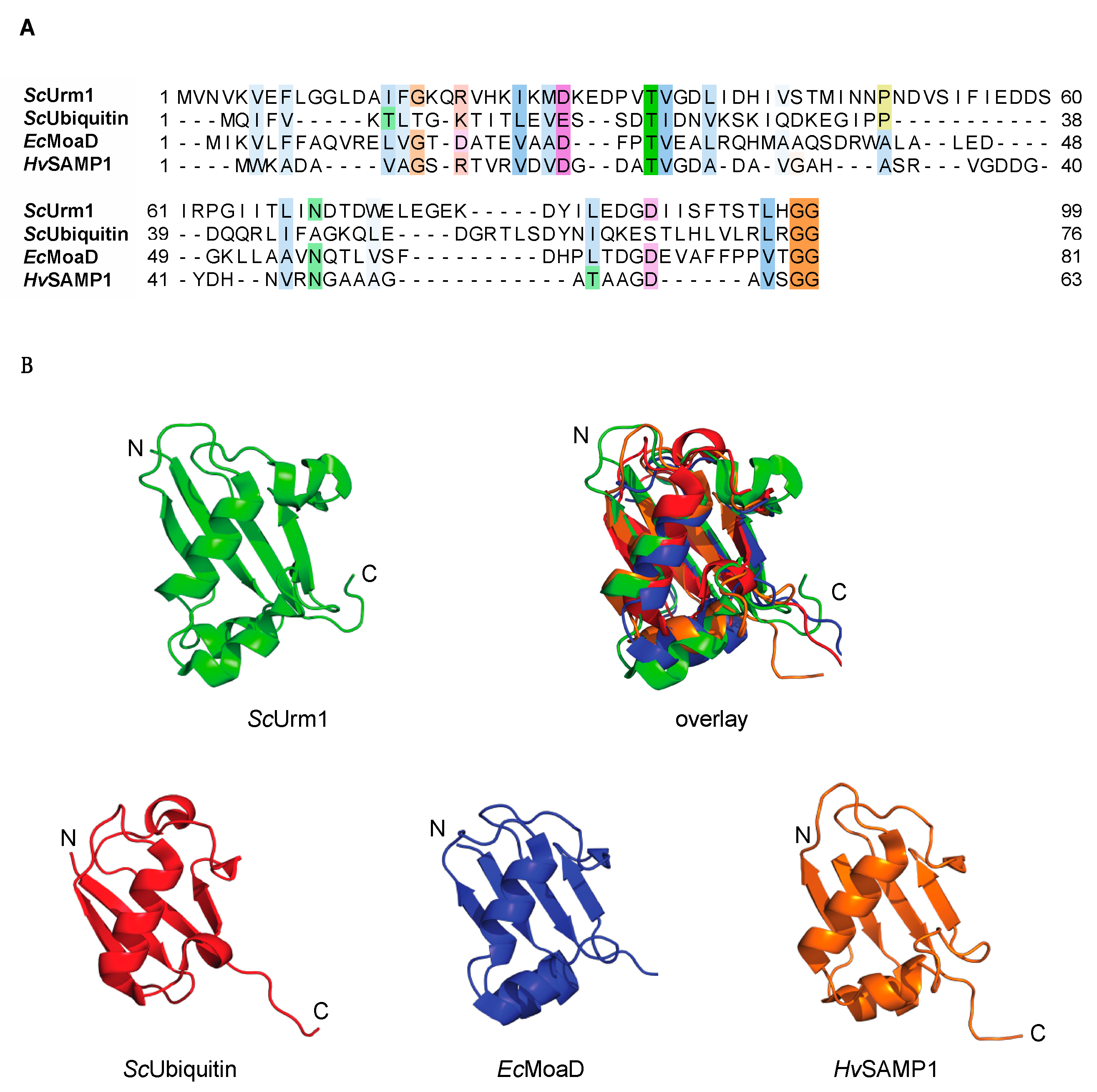 Biomolecules 11 00139 g001