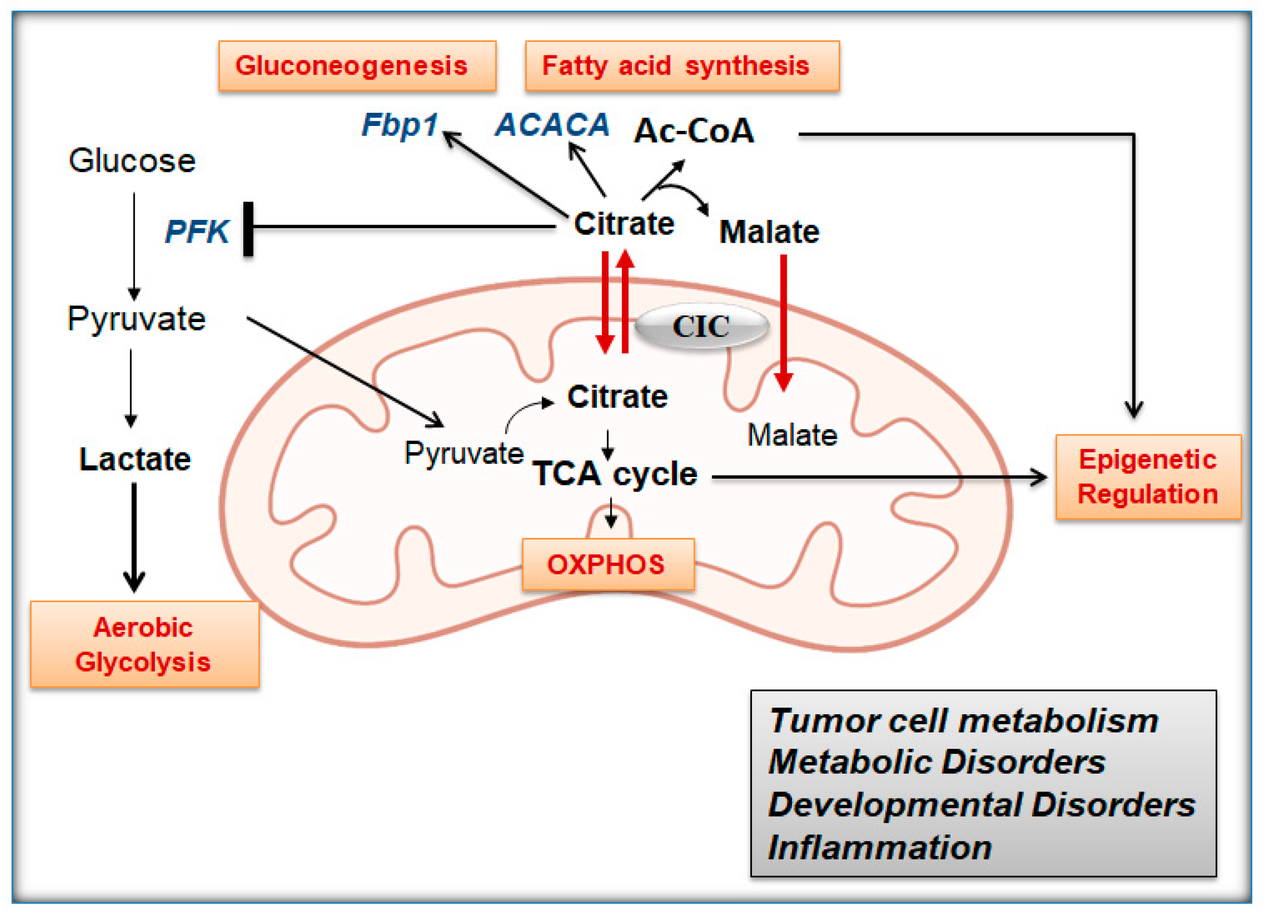 Biomolecules 11 00141 g001