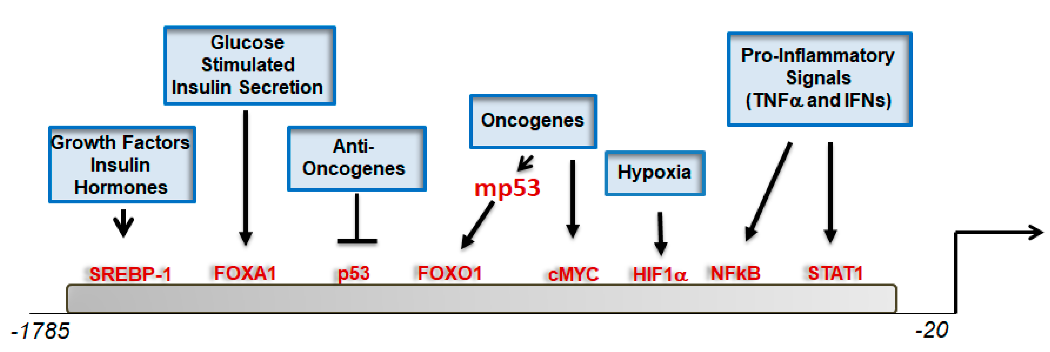 Biomolecules 11 00141 g003