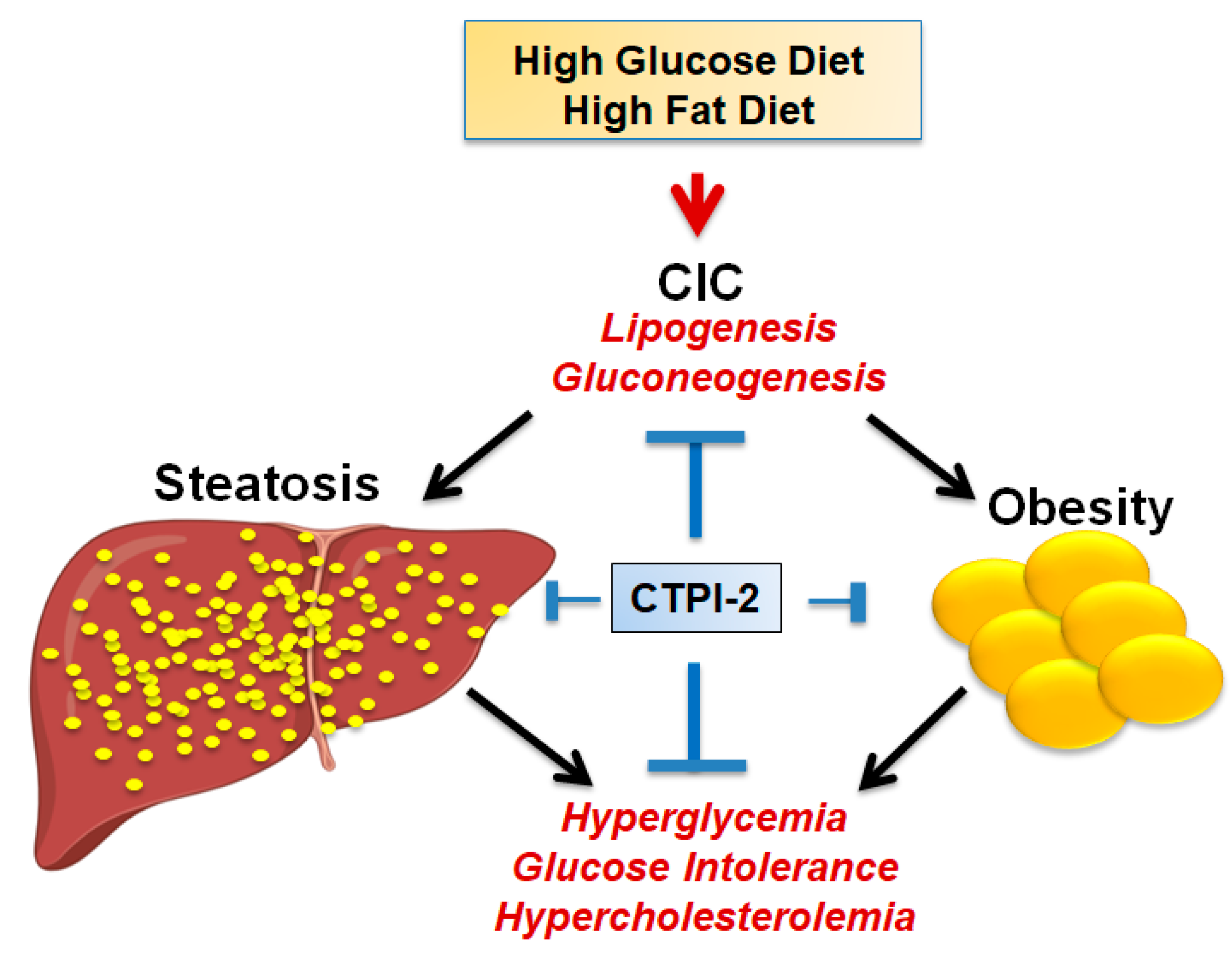 Biomolecules 11 00141 g005