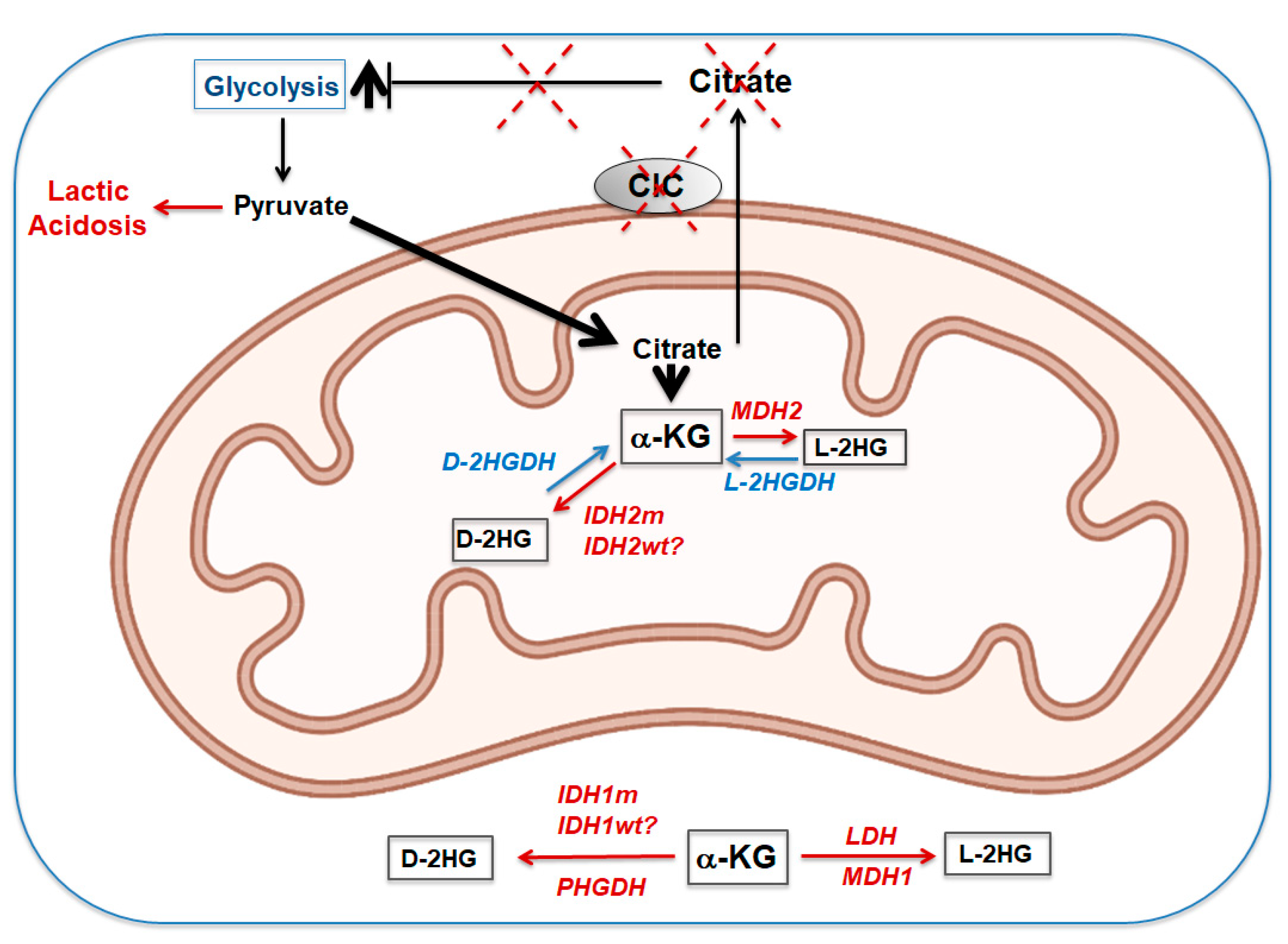 Biomolecules 11 00141 g008