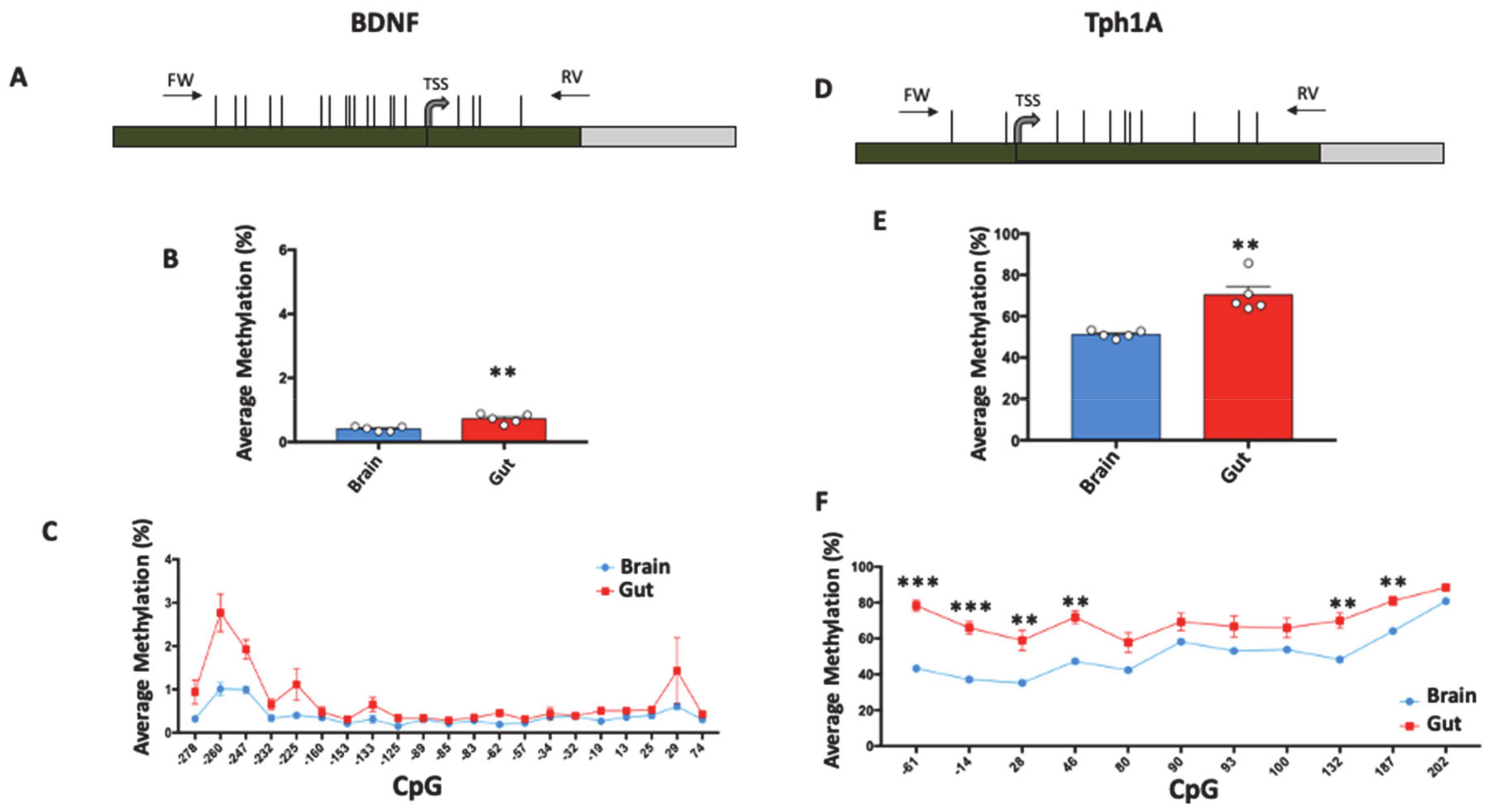 Biomolecules 11 00142 g002