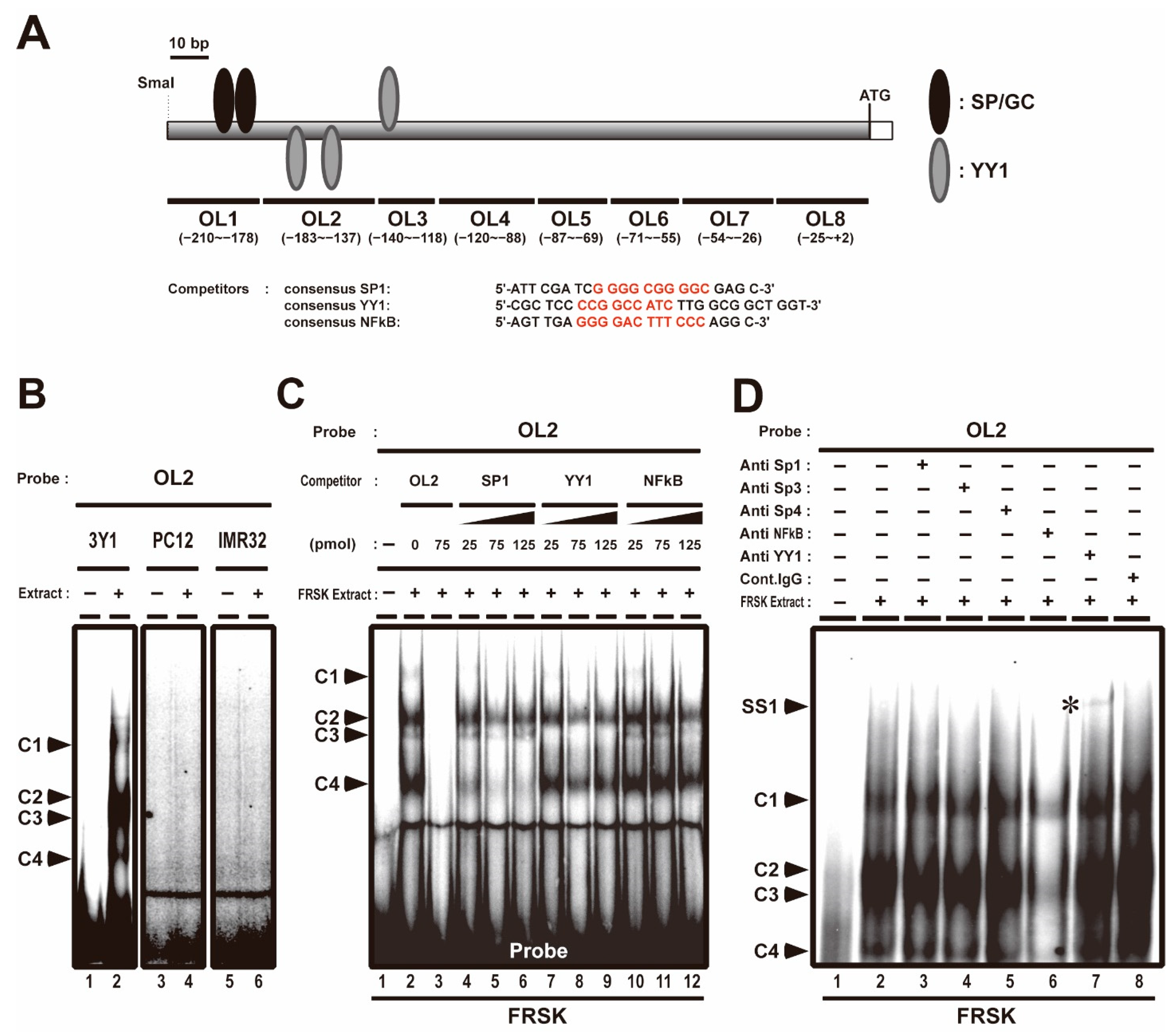 Biomolecules 11 00146 g001 Biomolecules 11 00146 g001