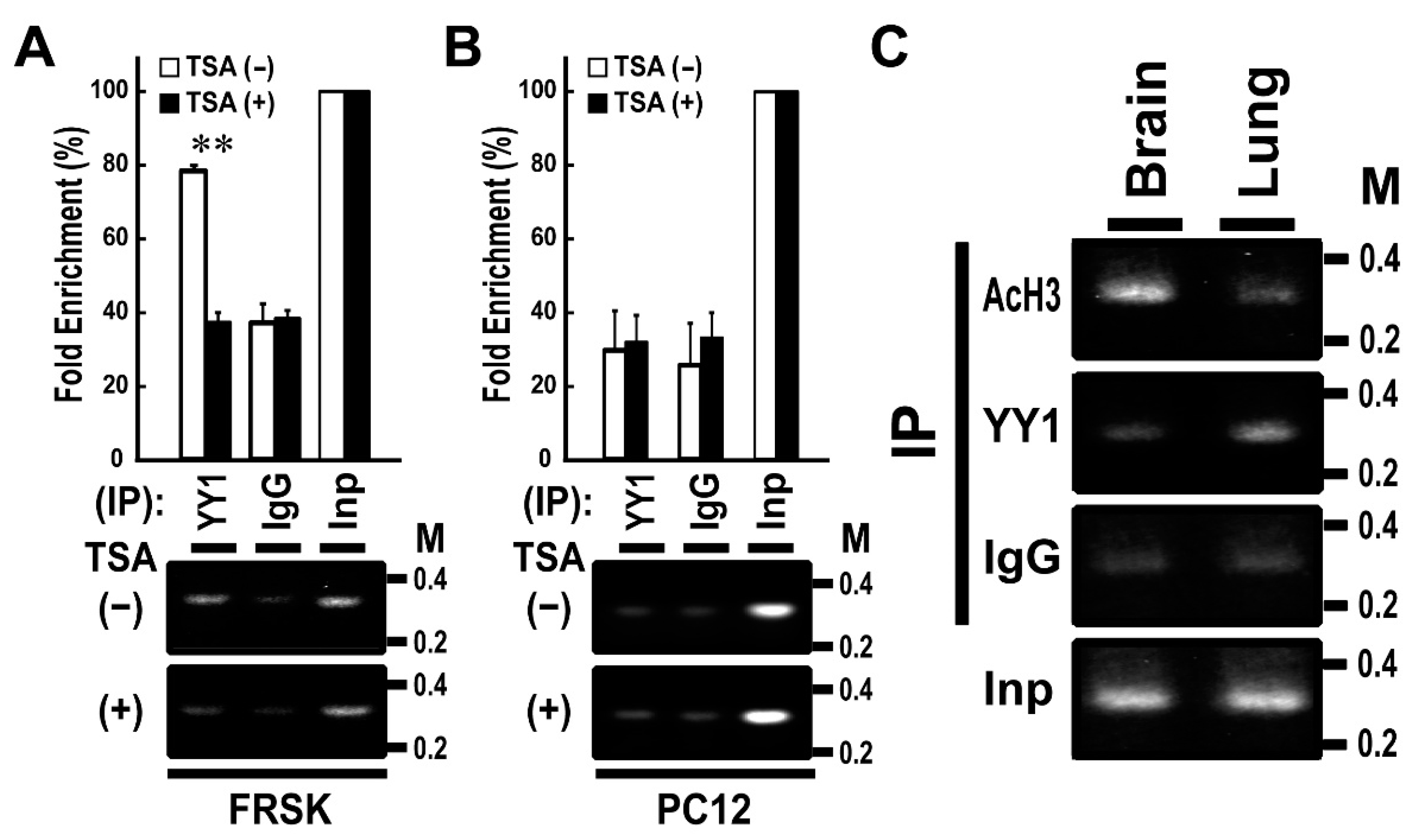Biomolecules 11 00146 g002 Biomolecules 11 00146 g002
