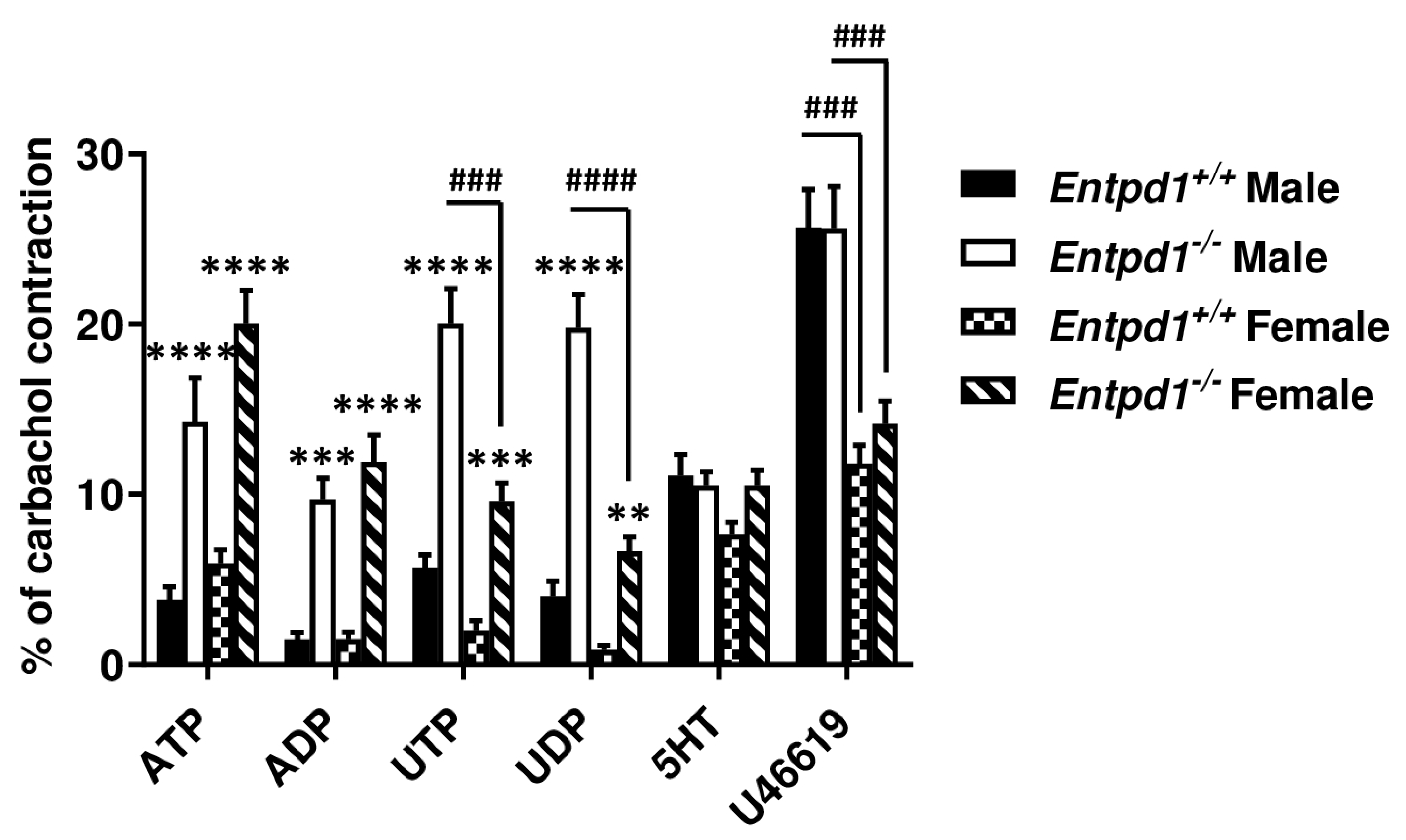 Biomolecules 11 00147 g004 Biomolecules 11 00147 g004