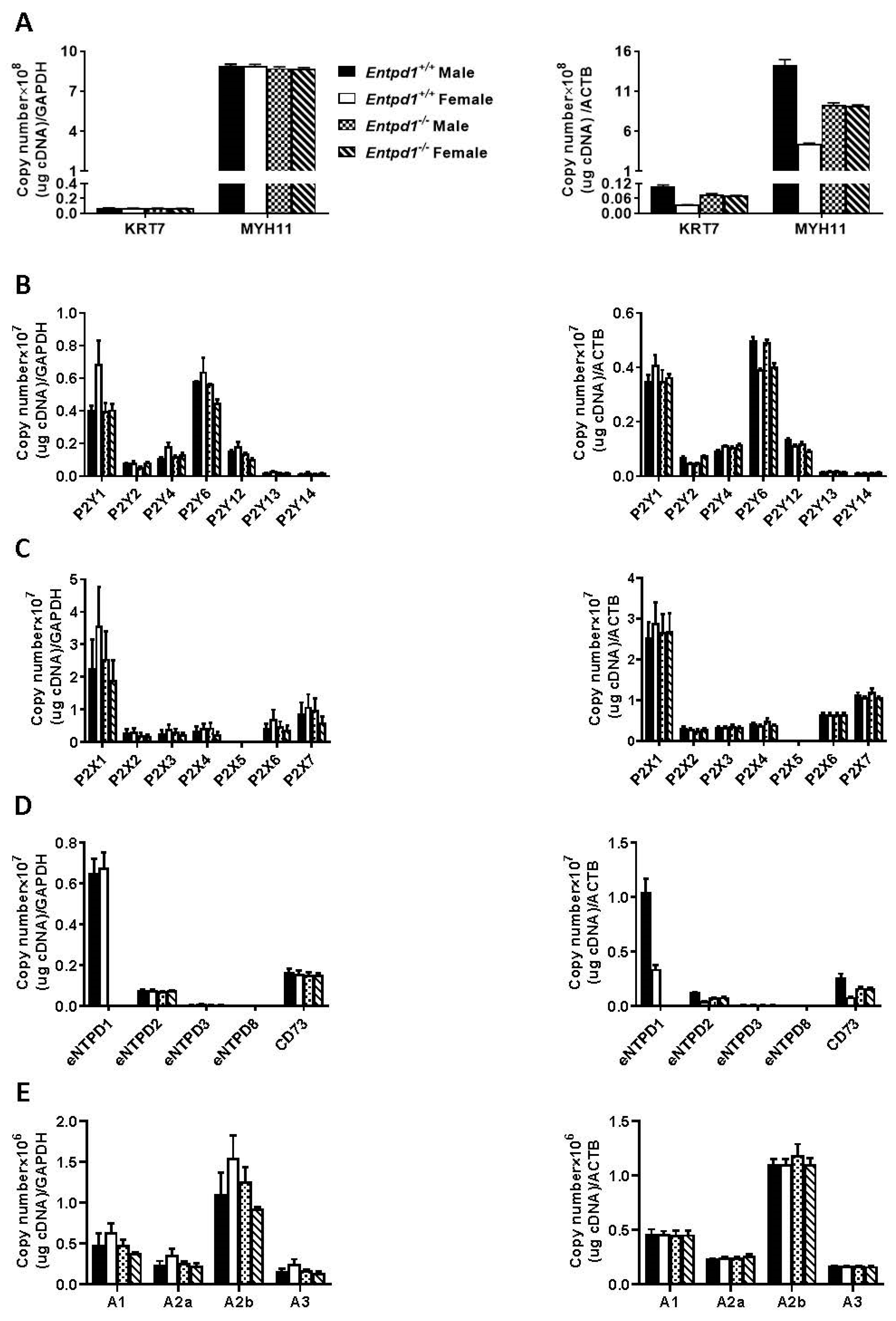 Biomolecules 11 00147 g005 Biomolecules 11 00147 g005