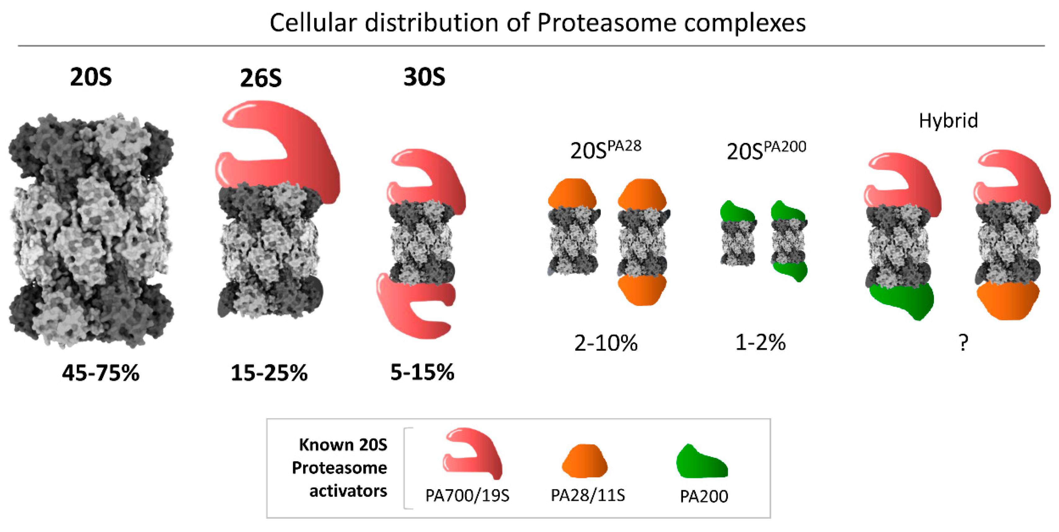 Biomolecules 11 00148 g001