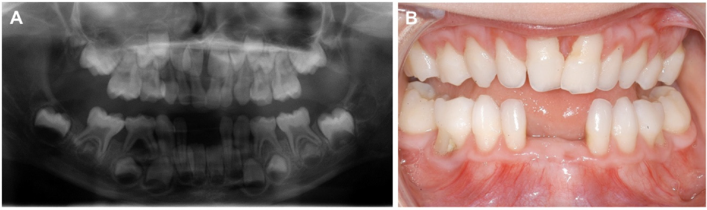 Biomolecules 11 00149 g004