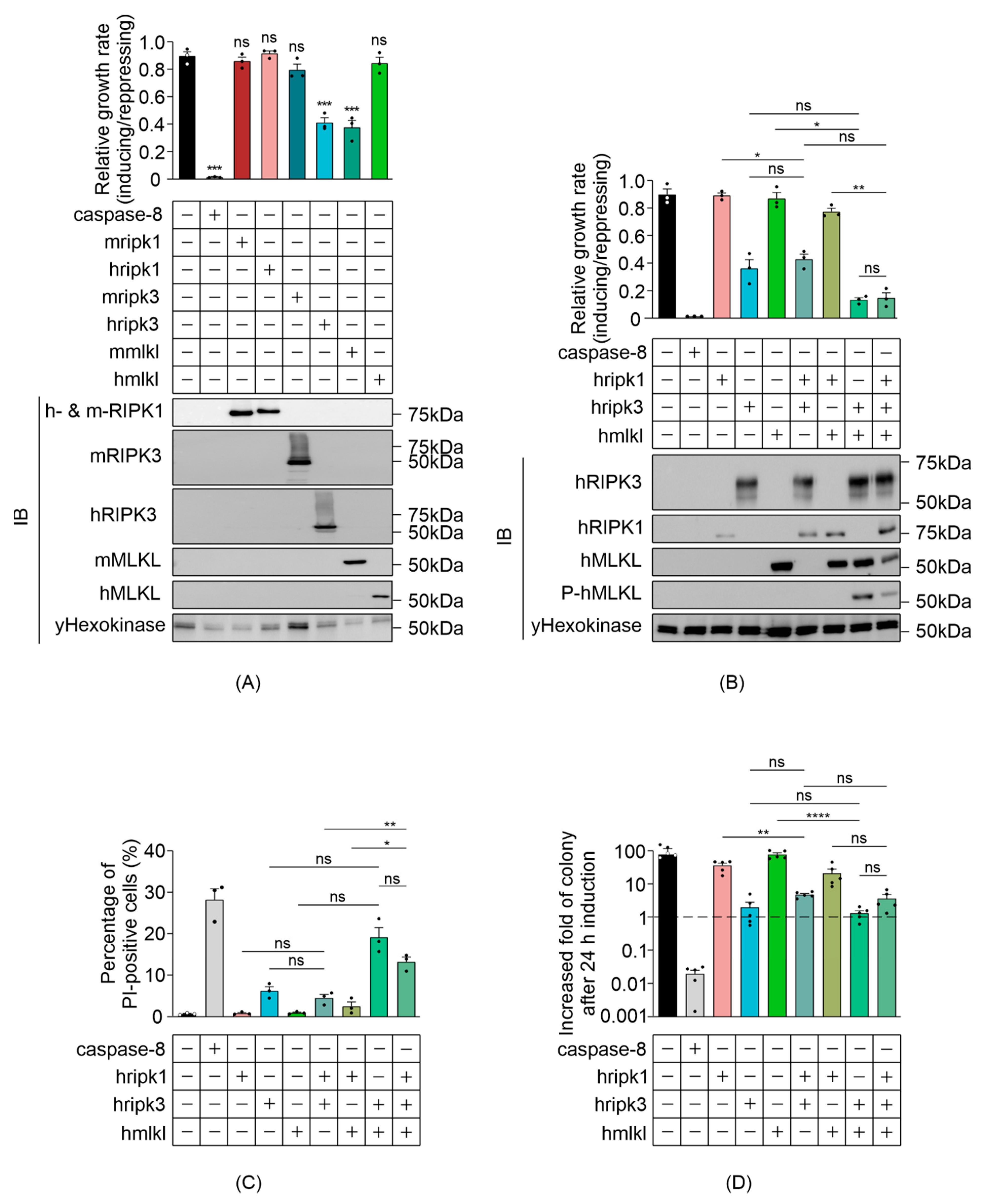 Biomolecules 11 00153 g001