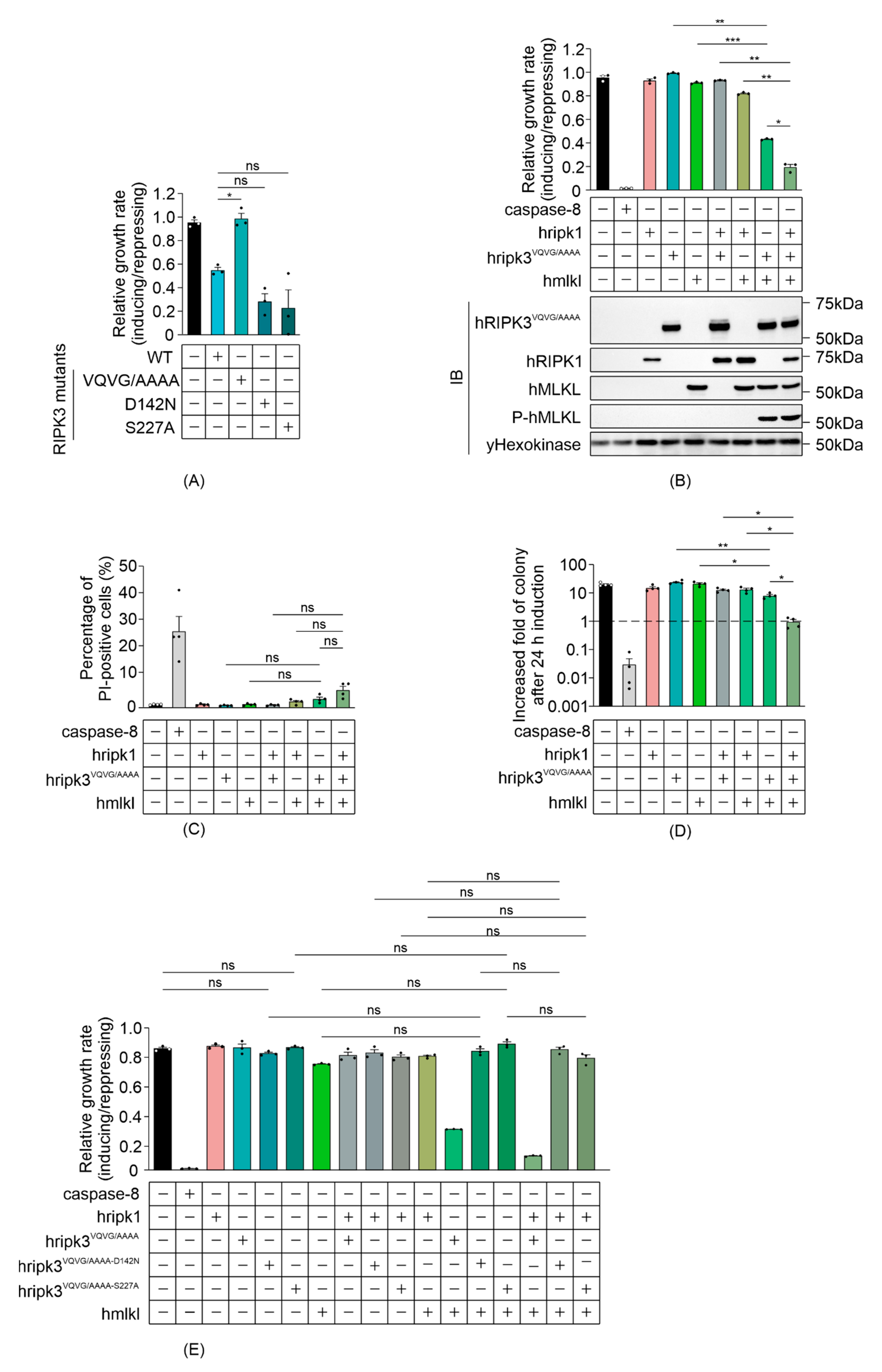 Biomolecules 11 00153 g002