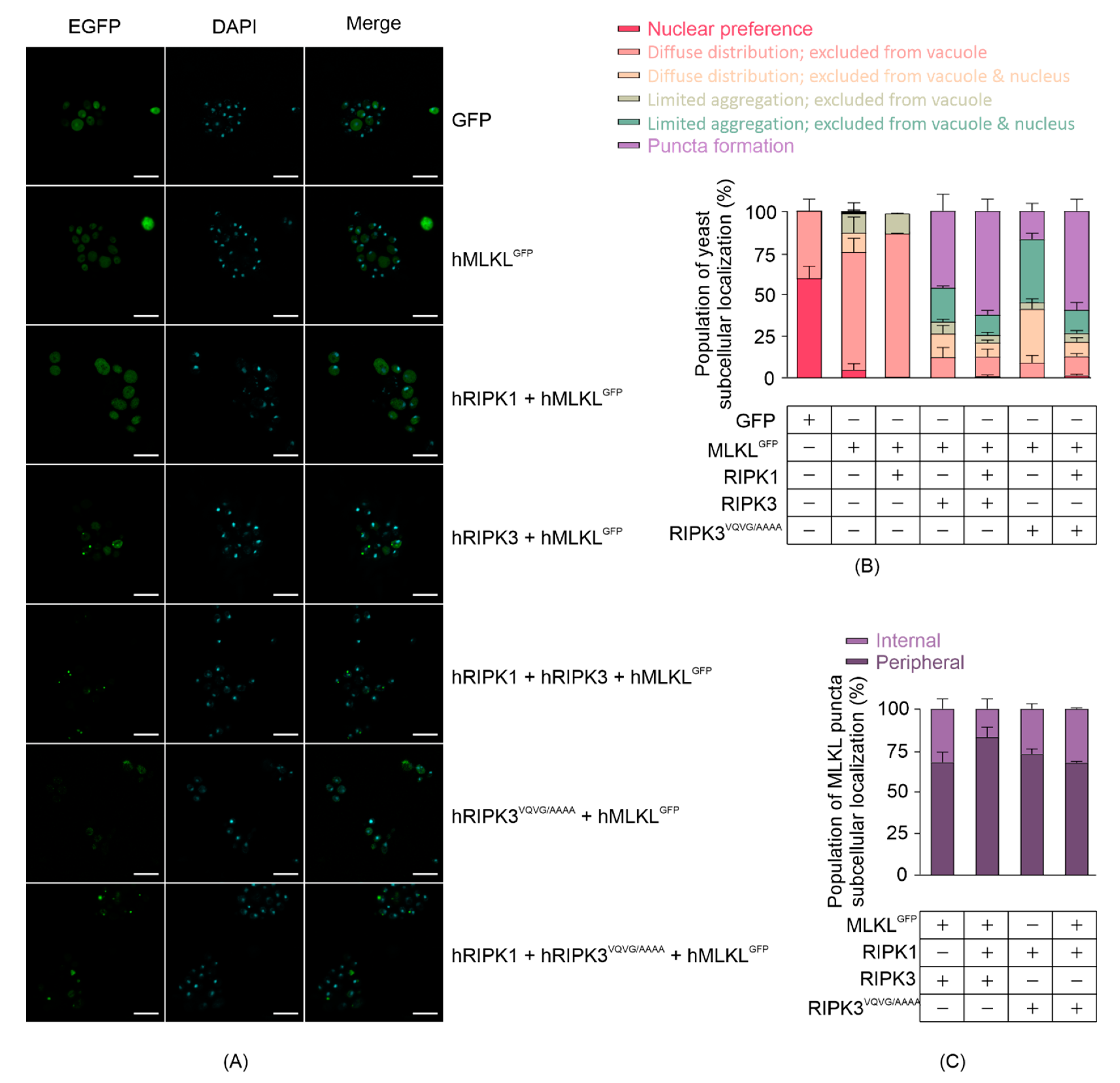 Biomolecules 11 00153 g003