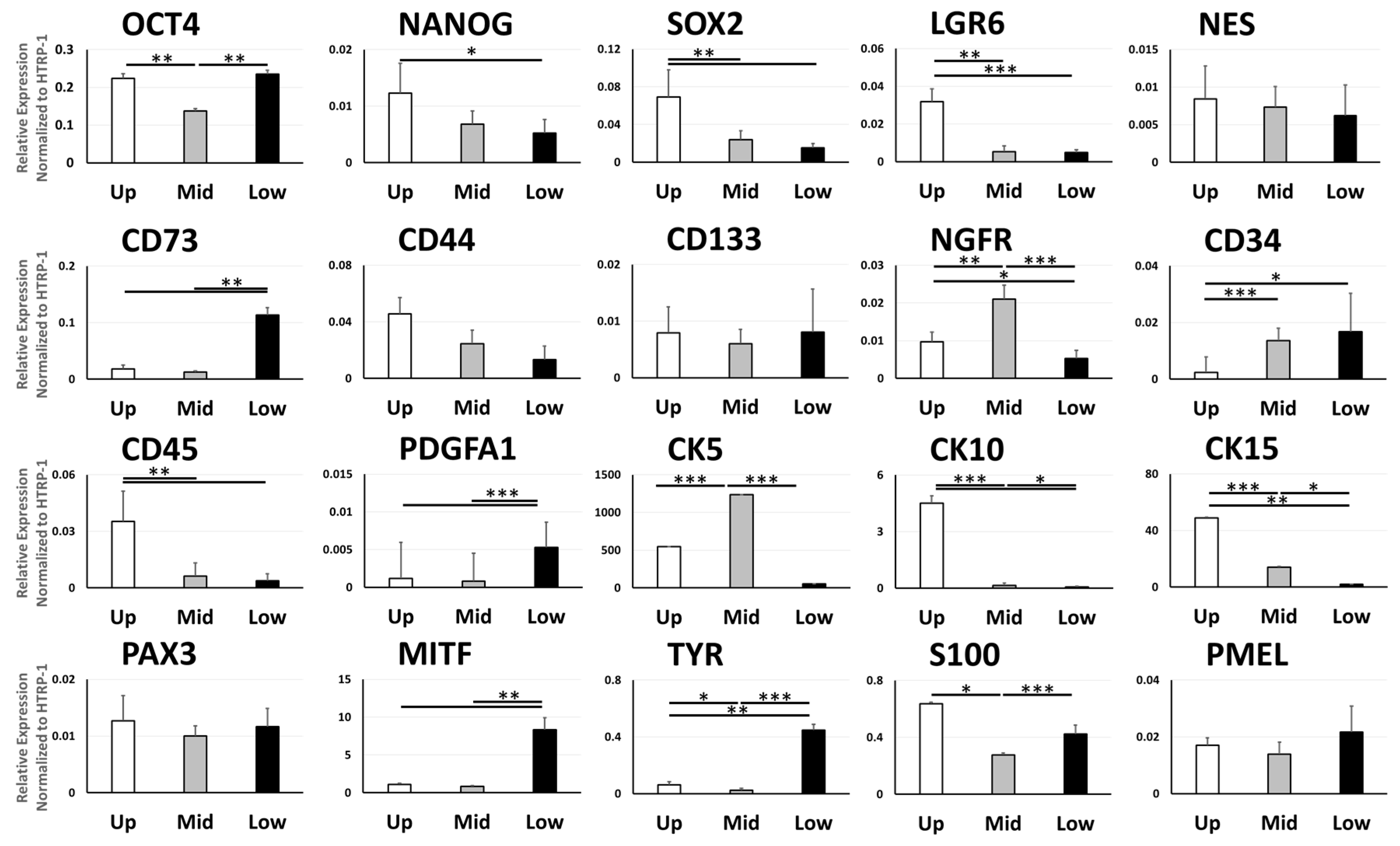Biomolecules 11 00154 g003
