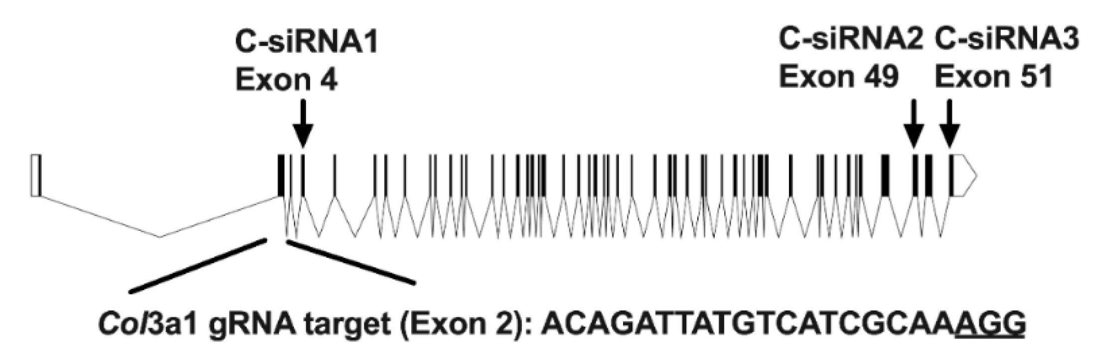 Biomolecules 11 00156 g001 Biomolecules 11 00156 g001