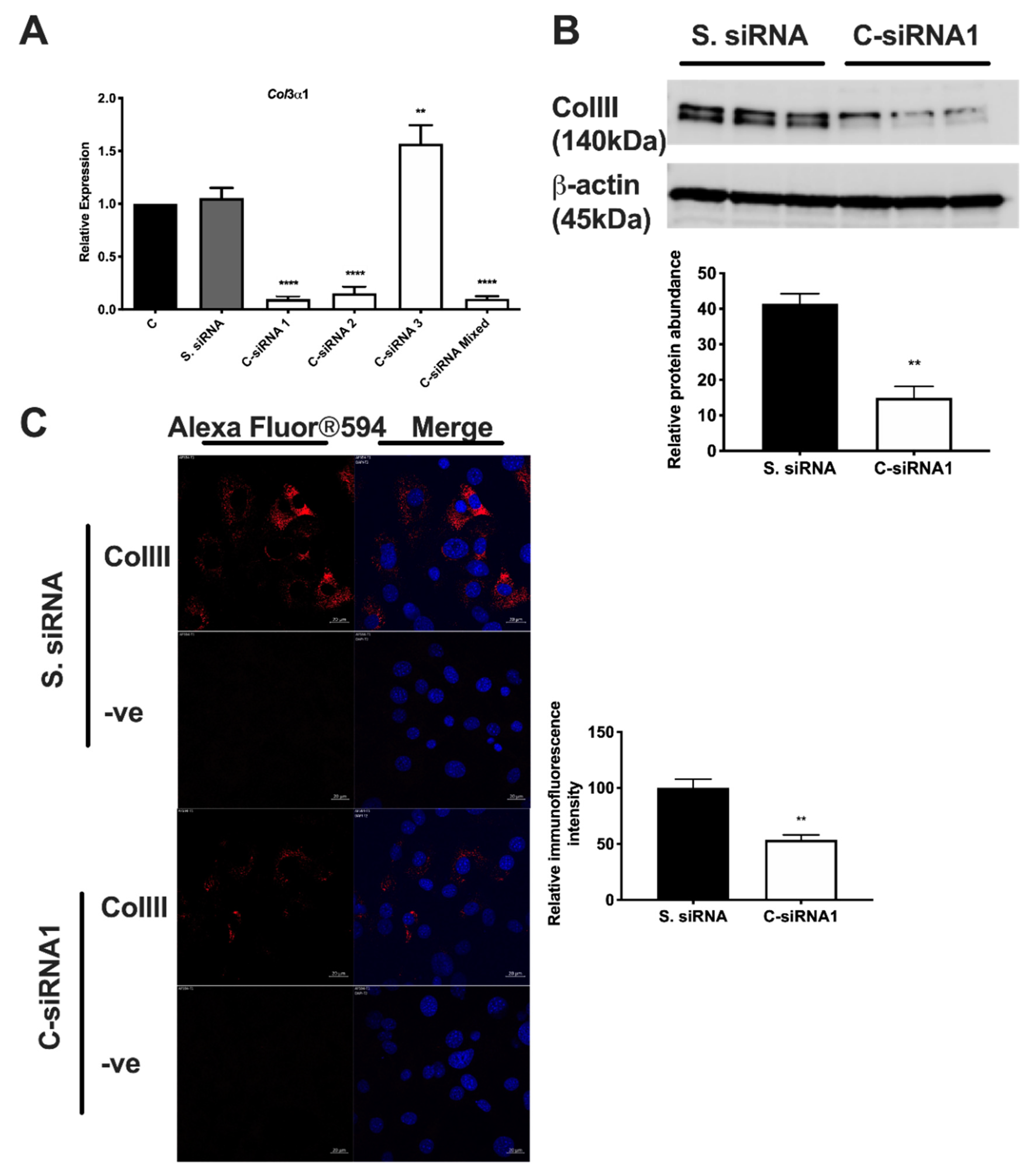 Biomolecules 11 00156 g002 Biomolecules 11 00156 g002