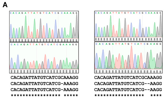 Biomolecules 11 00156 g005a Biomolecules 11 00156 g005a