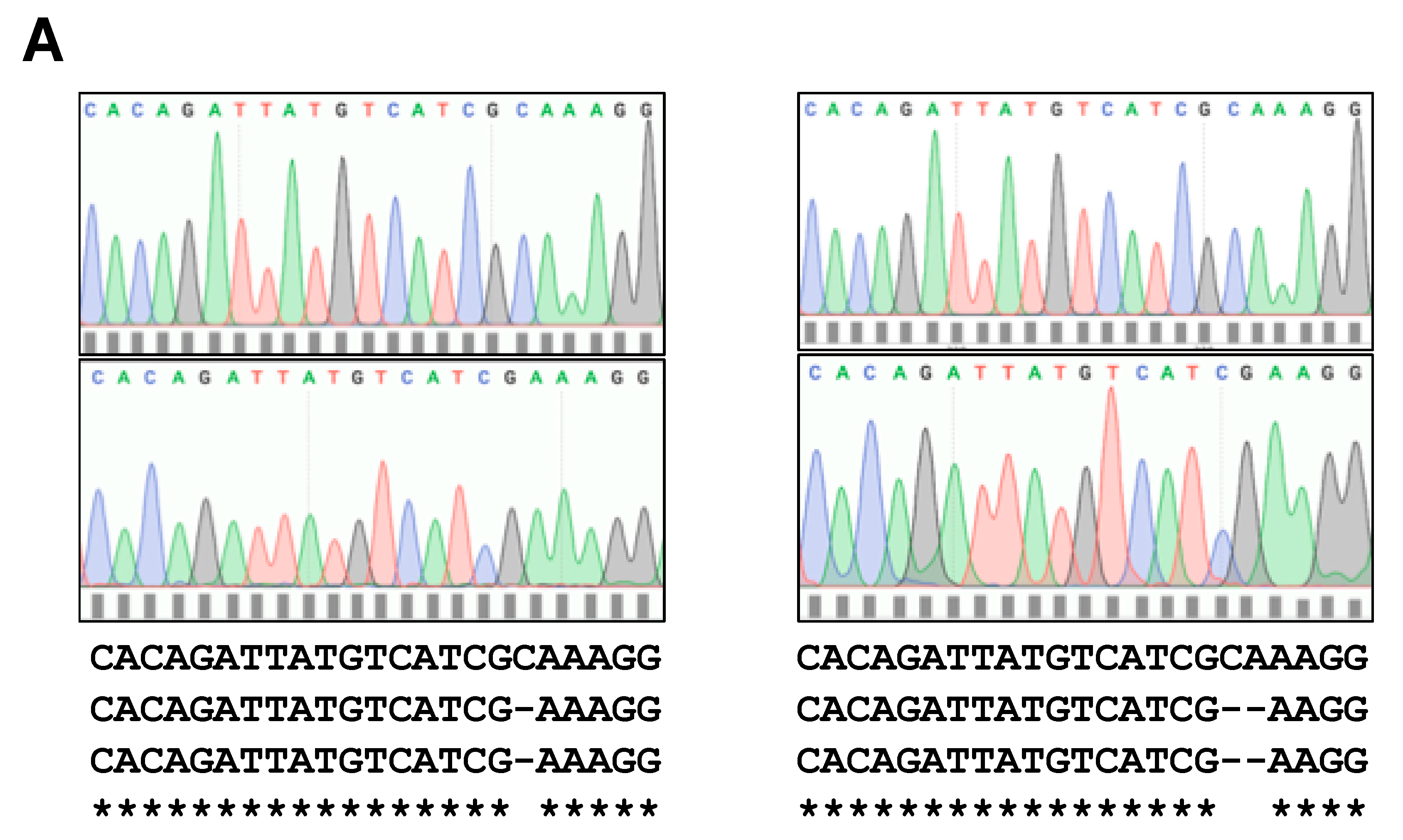 Biomolecules 11 00156 g005a Biomolecules 11 00156 g005a