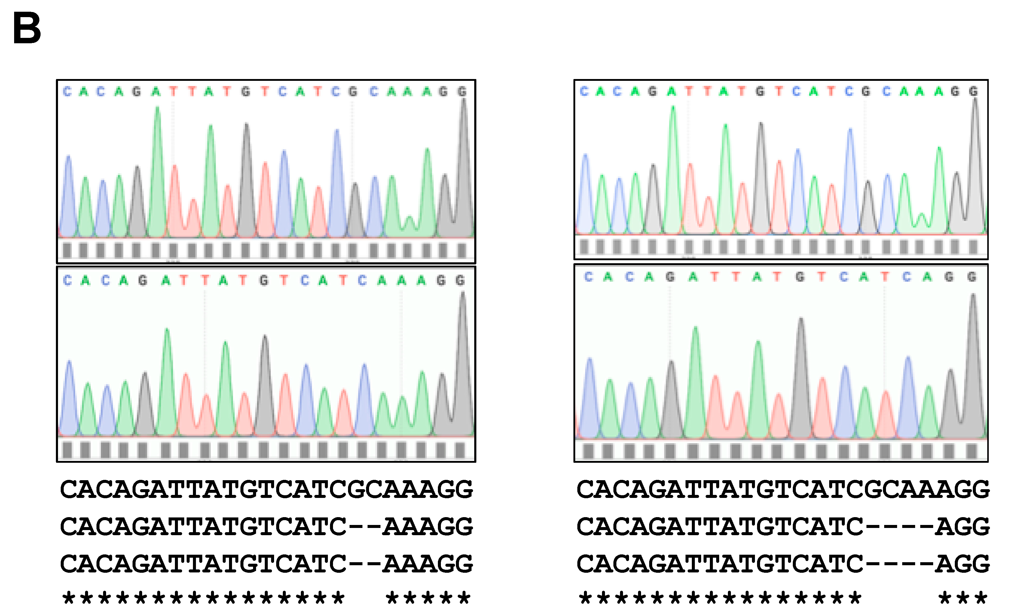 Biomolecules 11 00156 g005b Biomolecules 11 00156 g005b