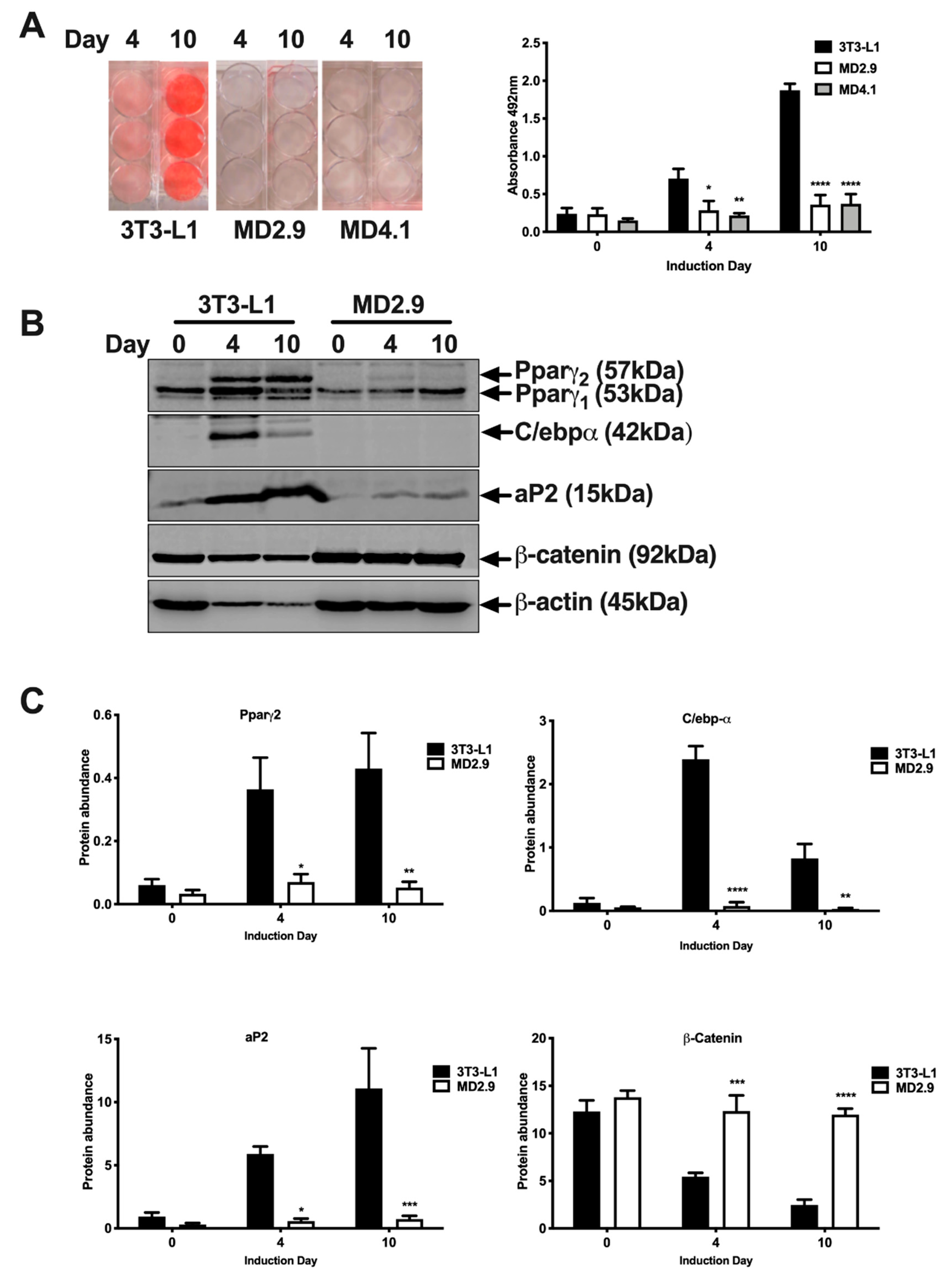 Biomolecules 11 00156 g006 Biomolecules 11 00156 g006