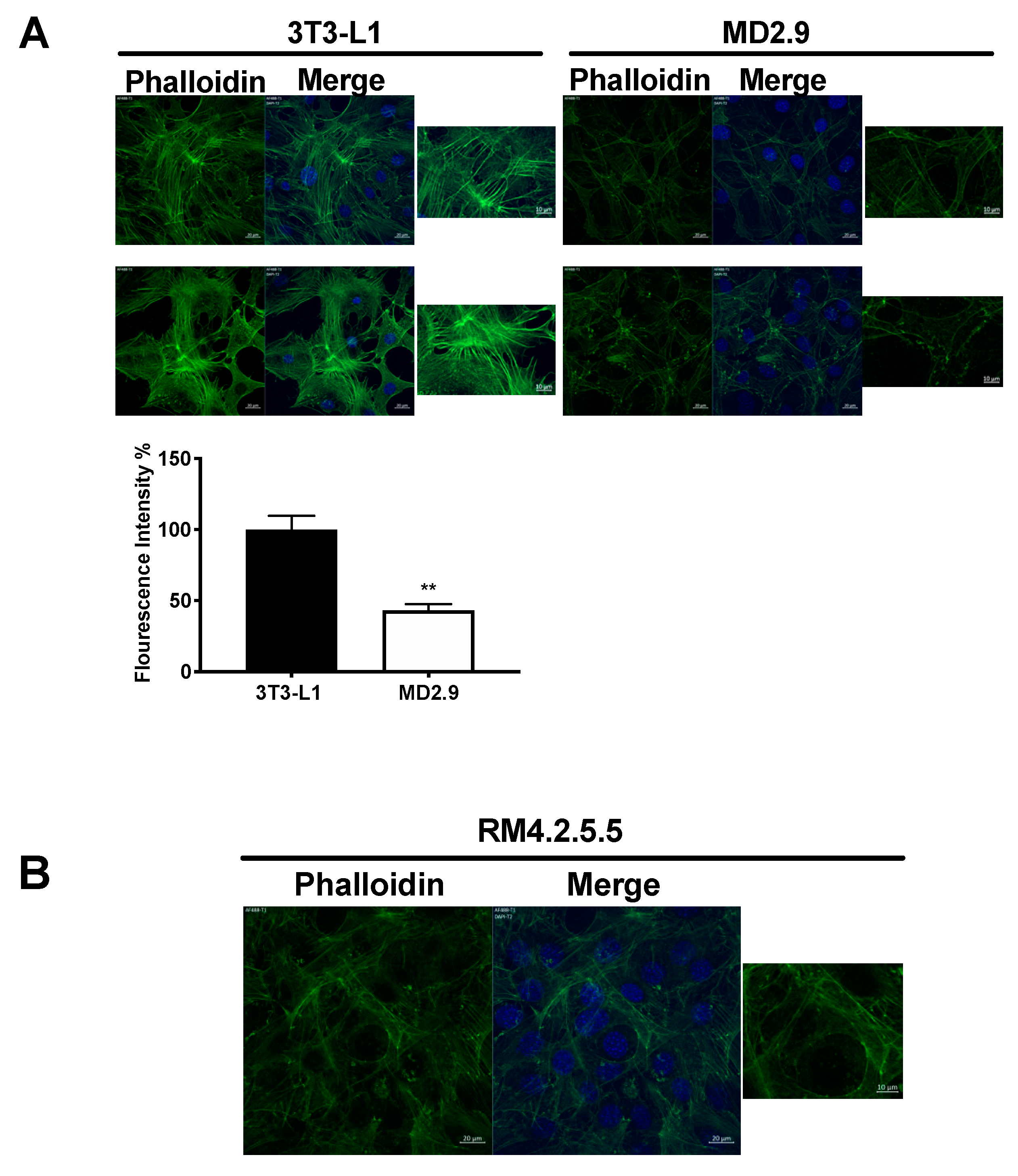 Biomolecules 11 00156 g007 Biomolecules 11 00156 g007