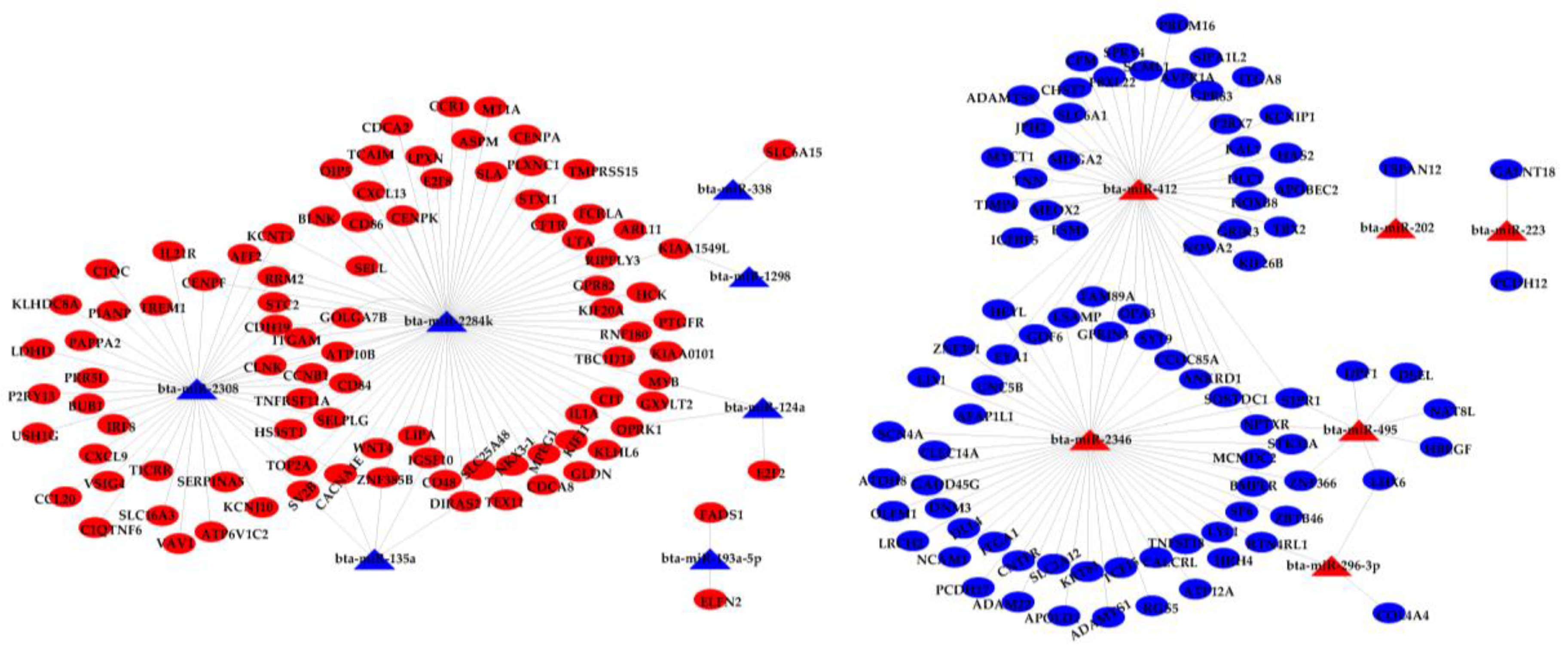 Biomolecules 11 00157 g004