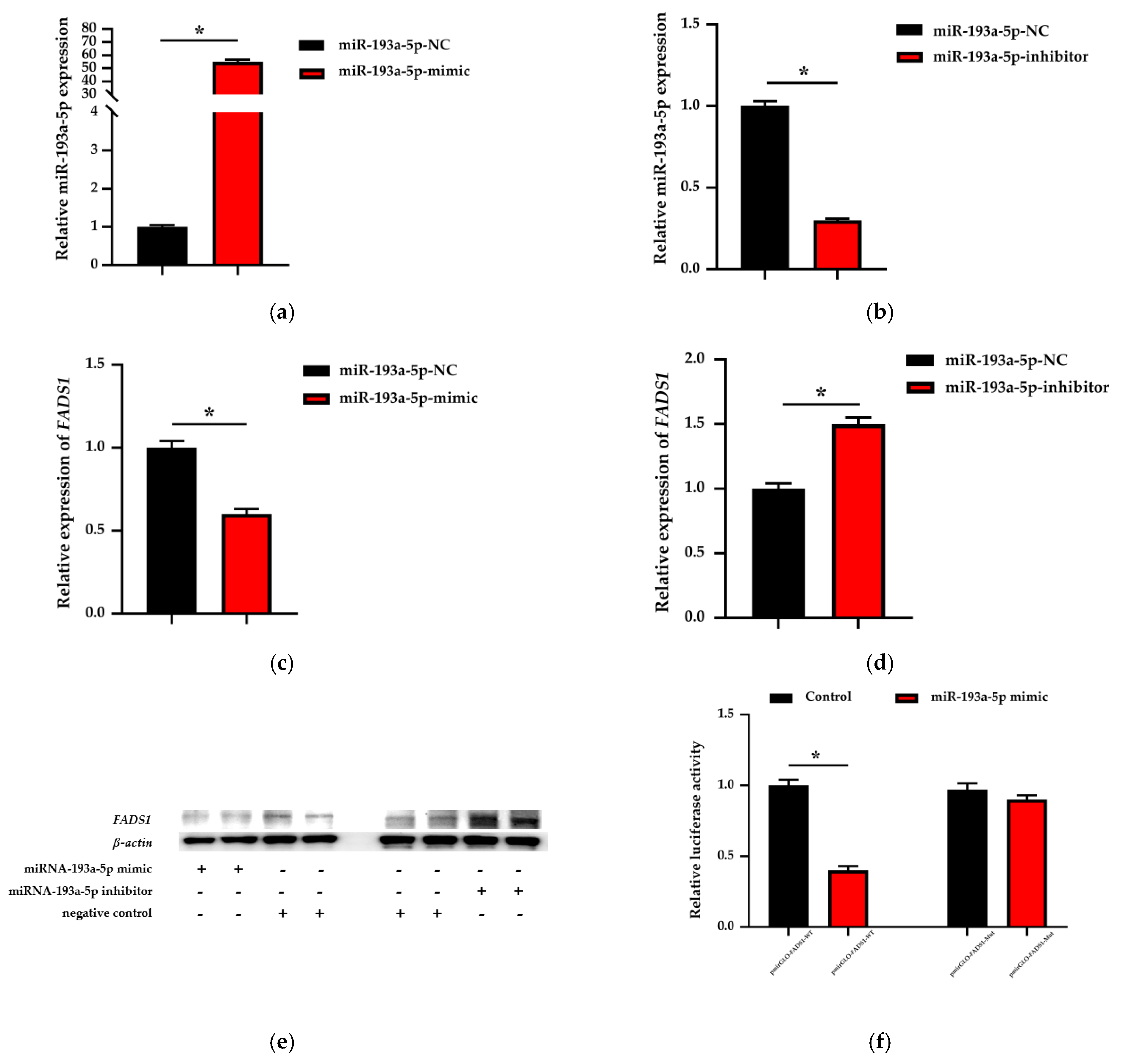 Biomolecules 11 00157 g005