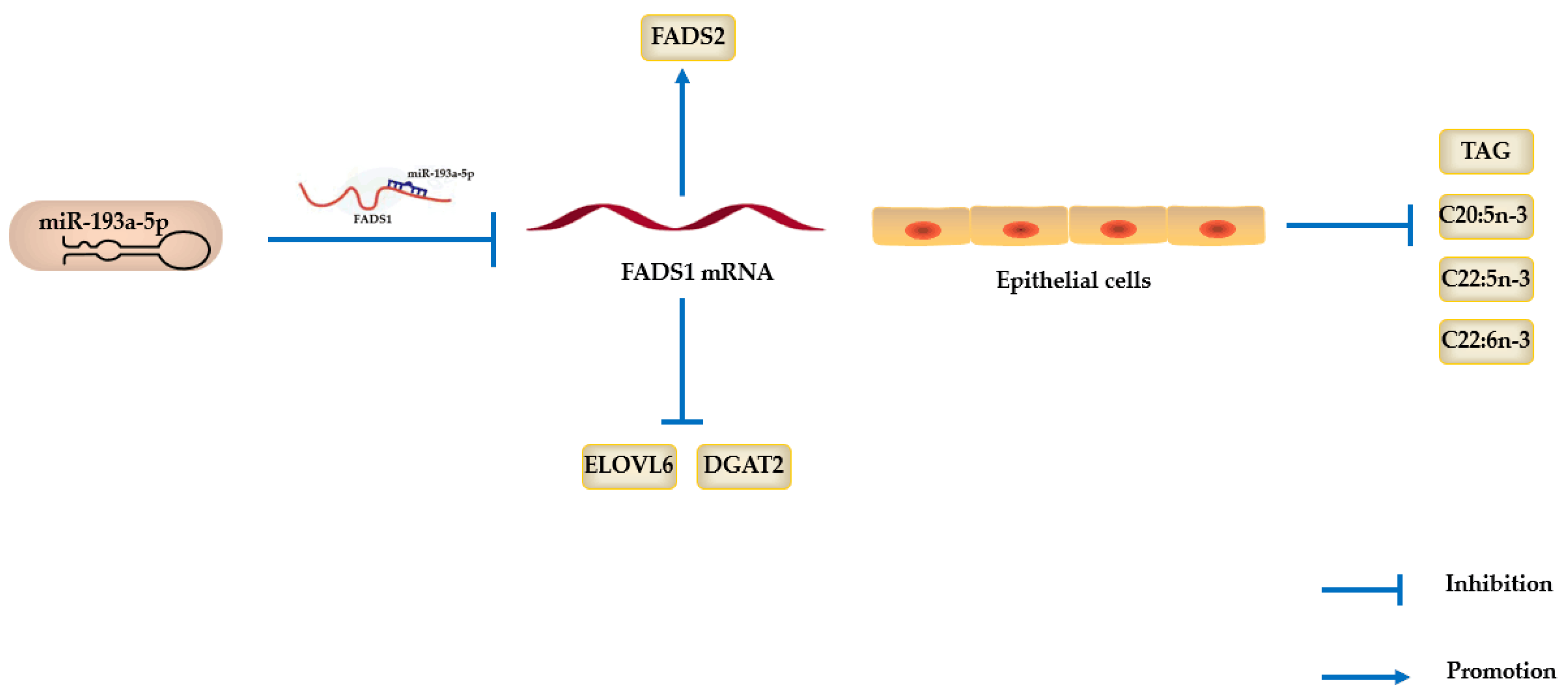 Biomolecules 11 00157 g009