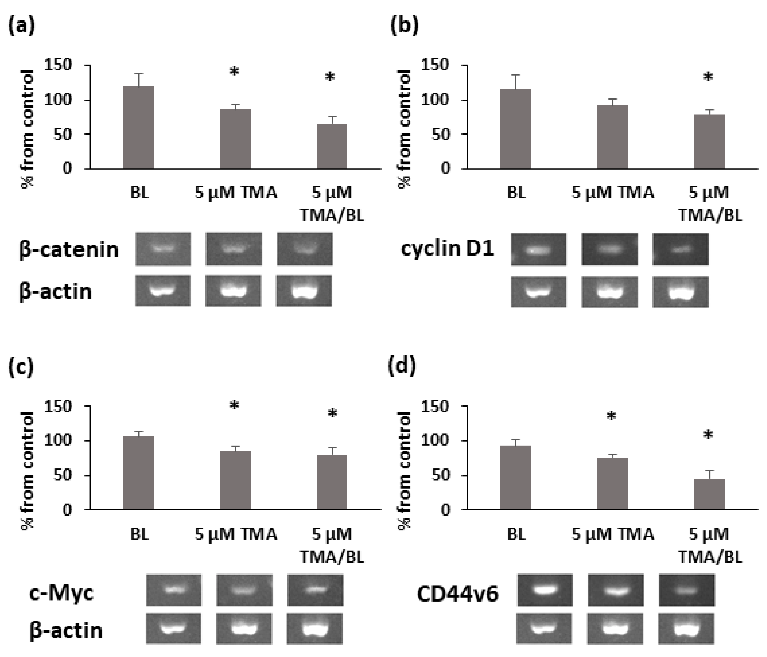 Biomolecules 11 00158 g005 Biomolecules 11 00158 g005