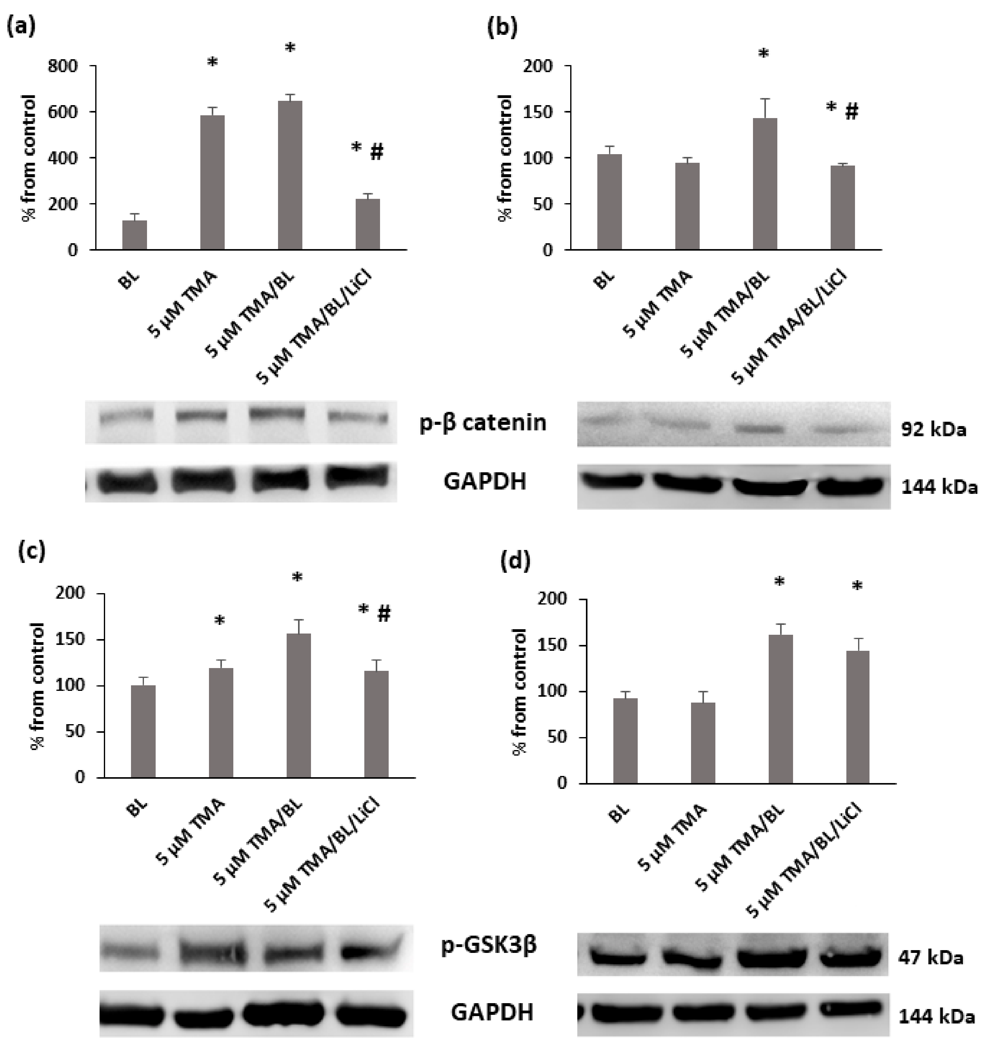Biomolecules 11 00158 g007 Biomolecules 11 00158 g007