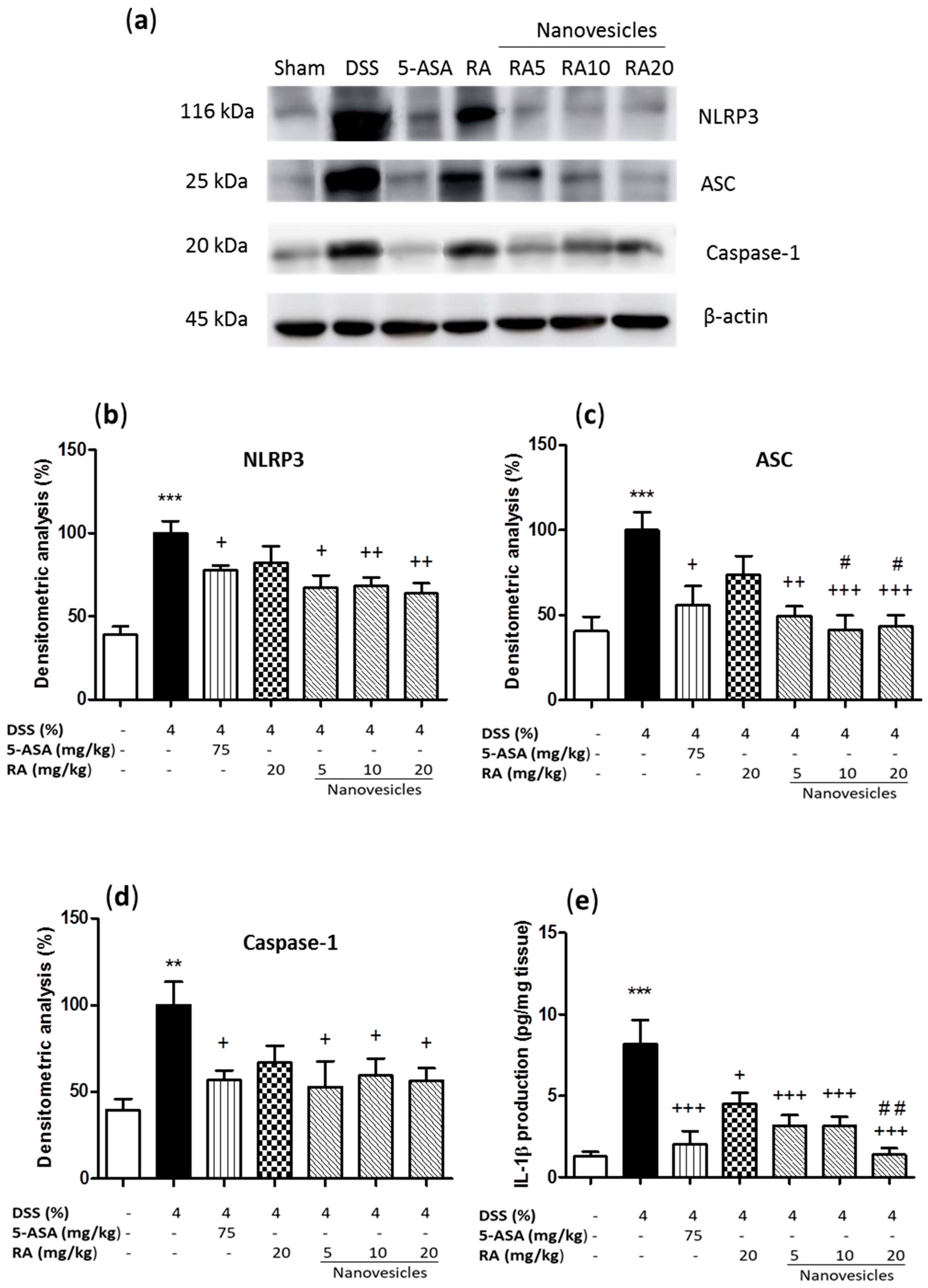 Biomolecules 11 00162 g005 Biomolecules 11 00162 g005