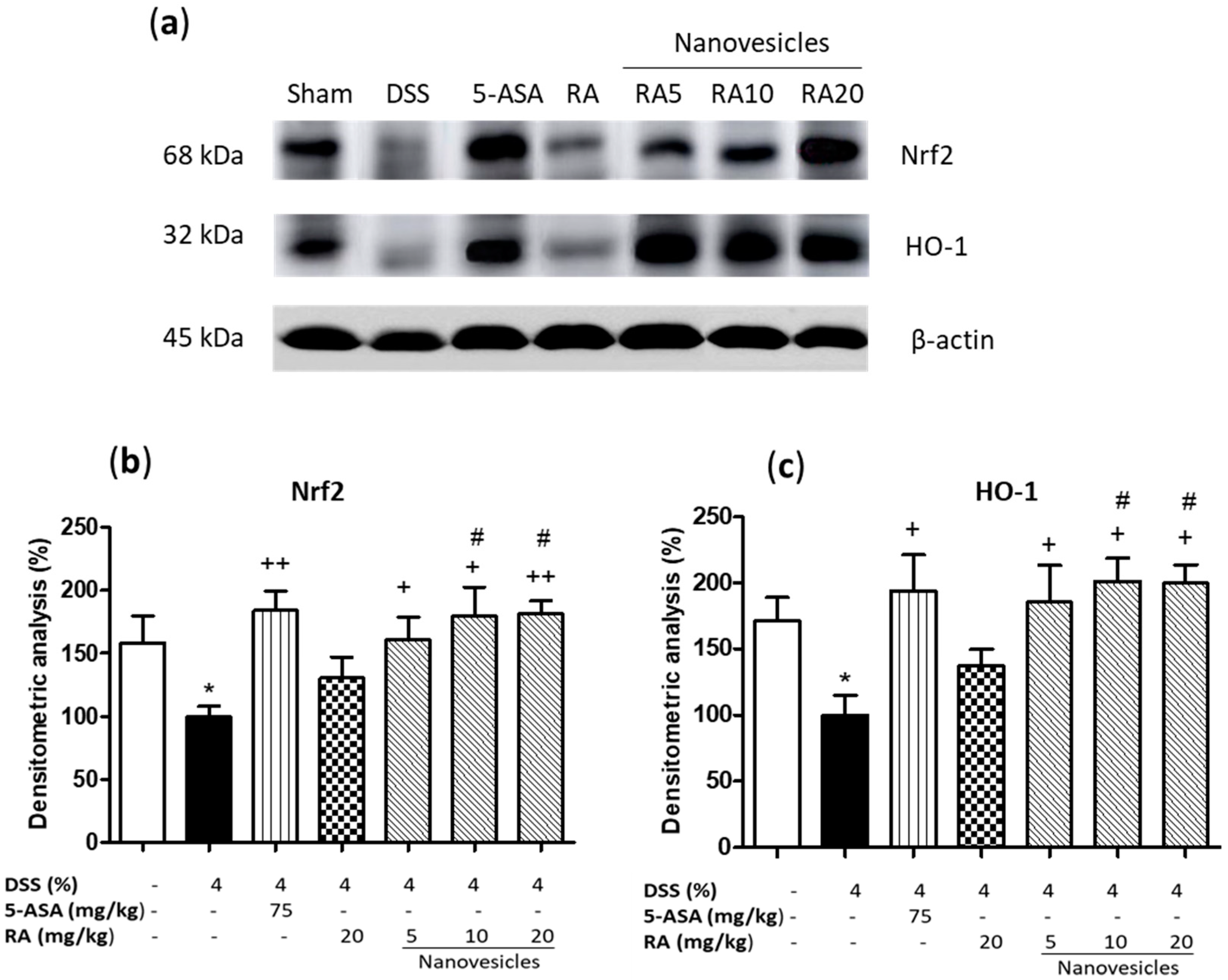 Biomolecules 11 00162 g006 Biomolecules 11 00162 g006