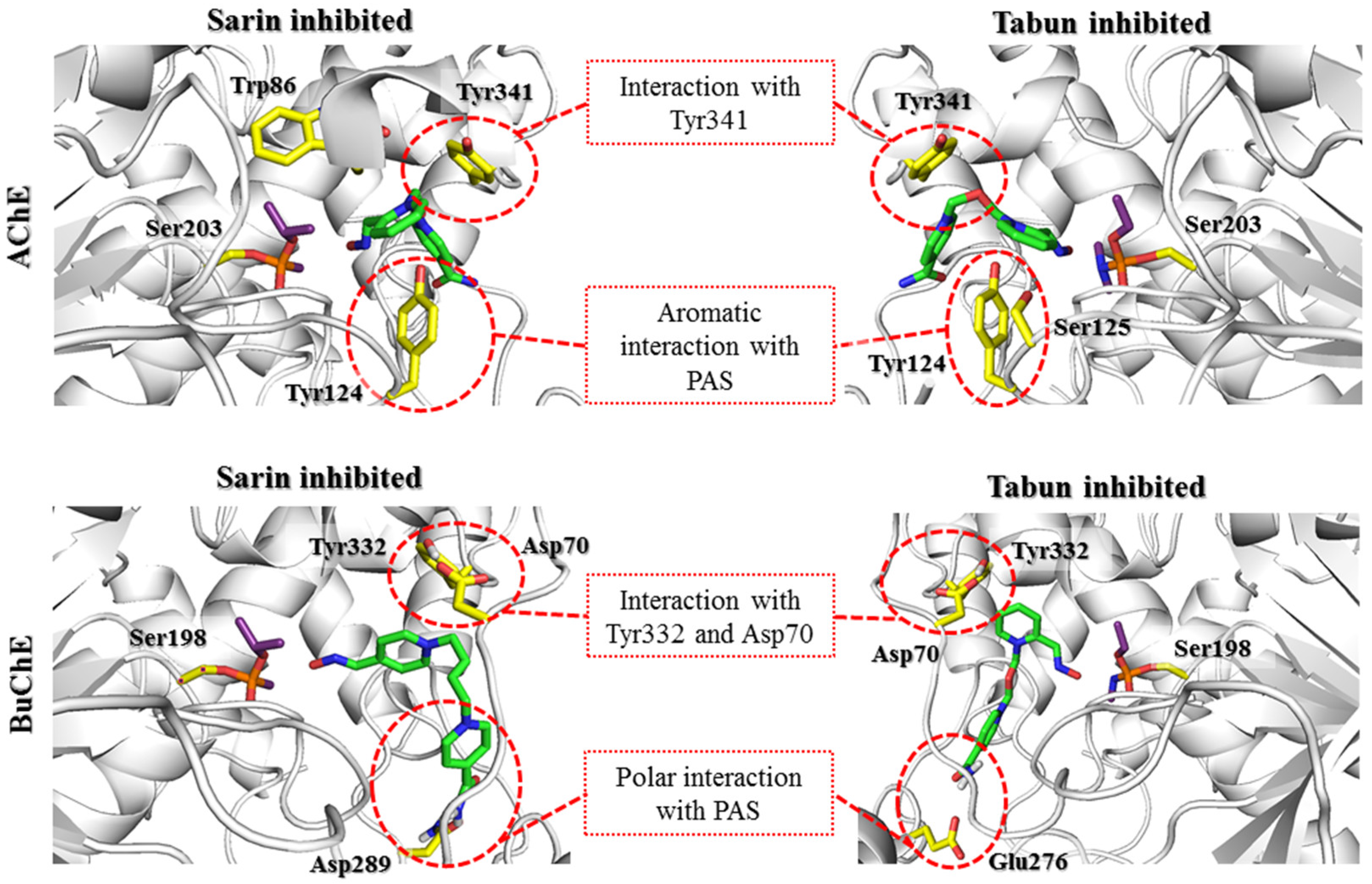 Biomolecules 11 00169 g005