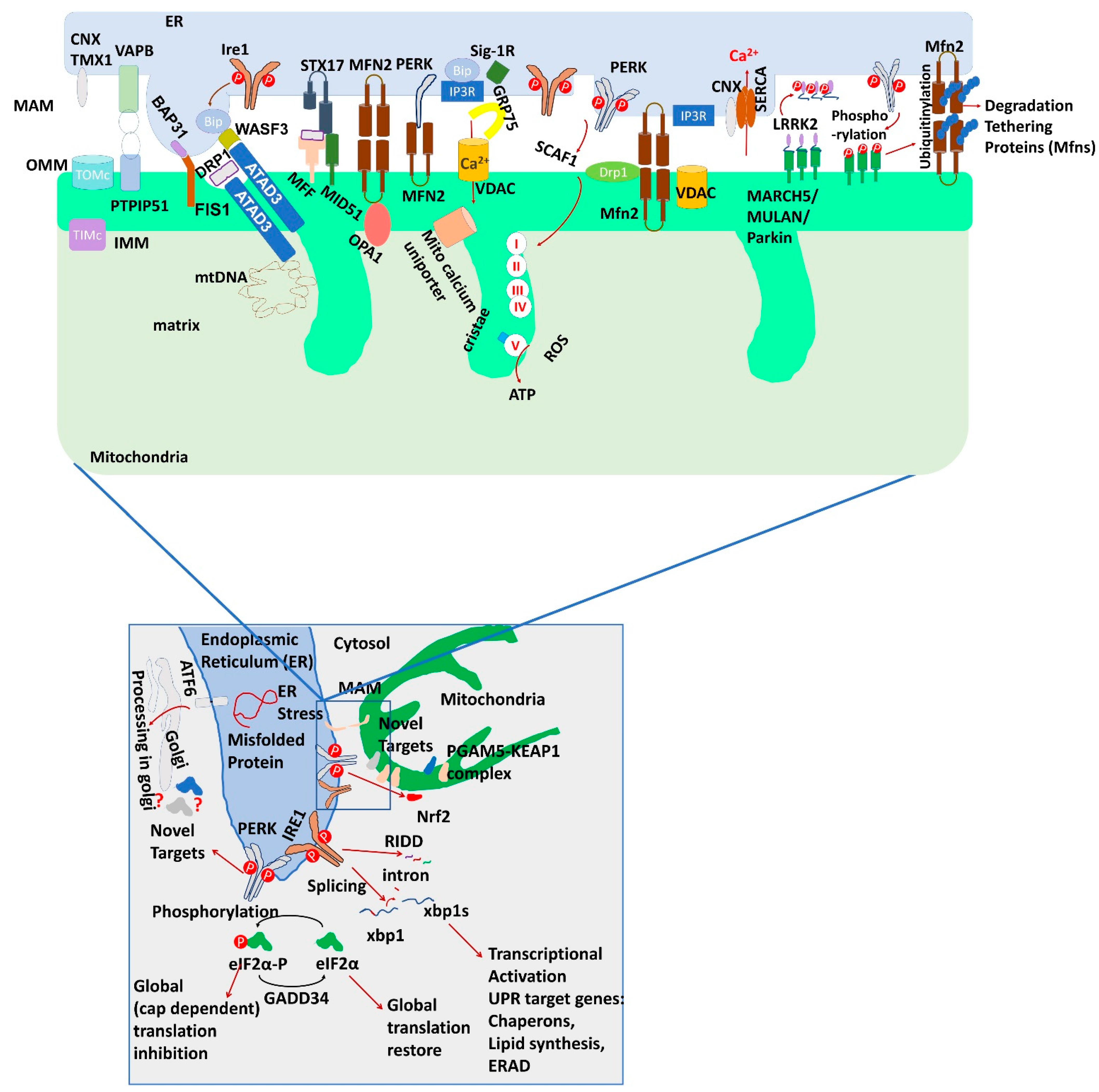 Biomolecules 11 00173 g001