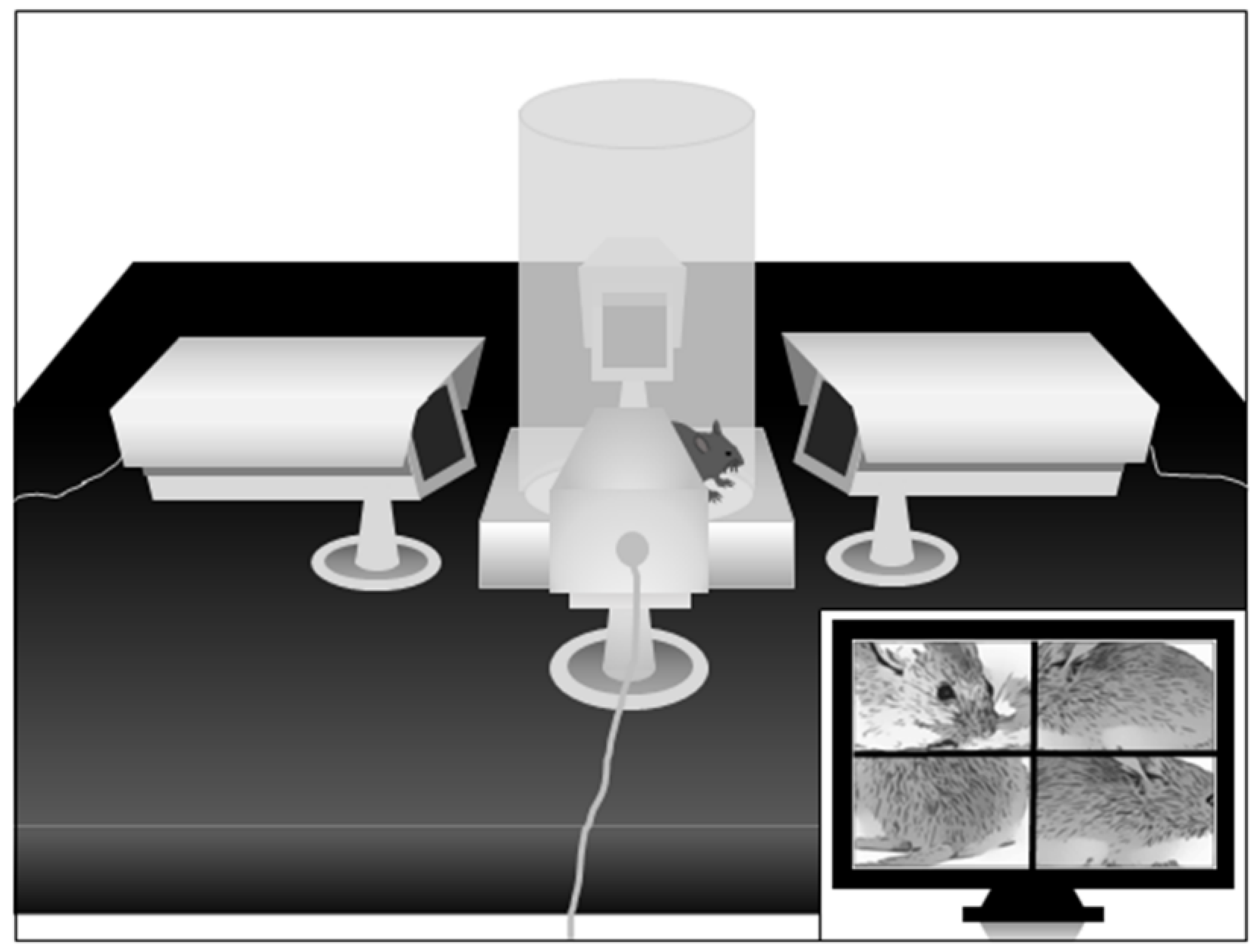 Biomolecules 11 00175 g002