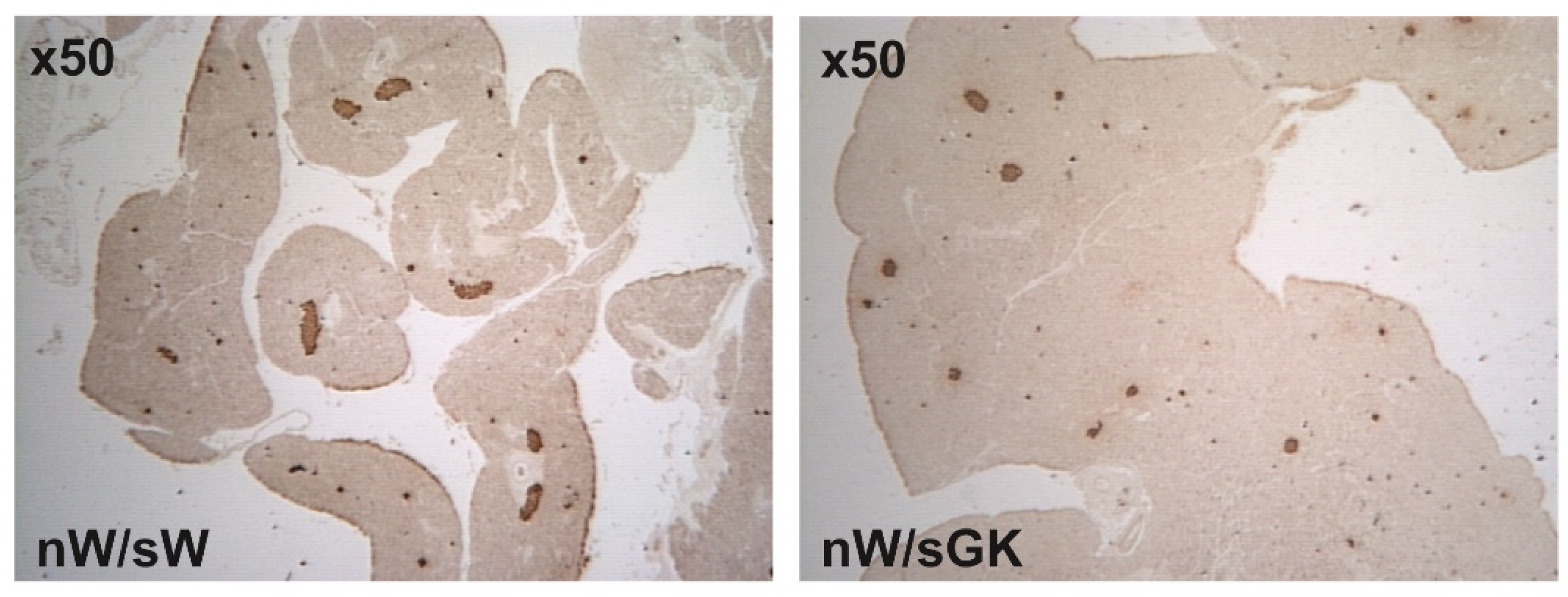 Biomolecules 11 00179 g005