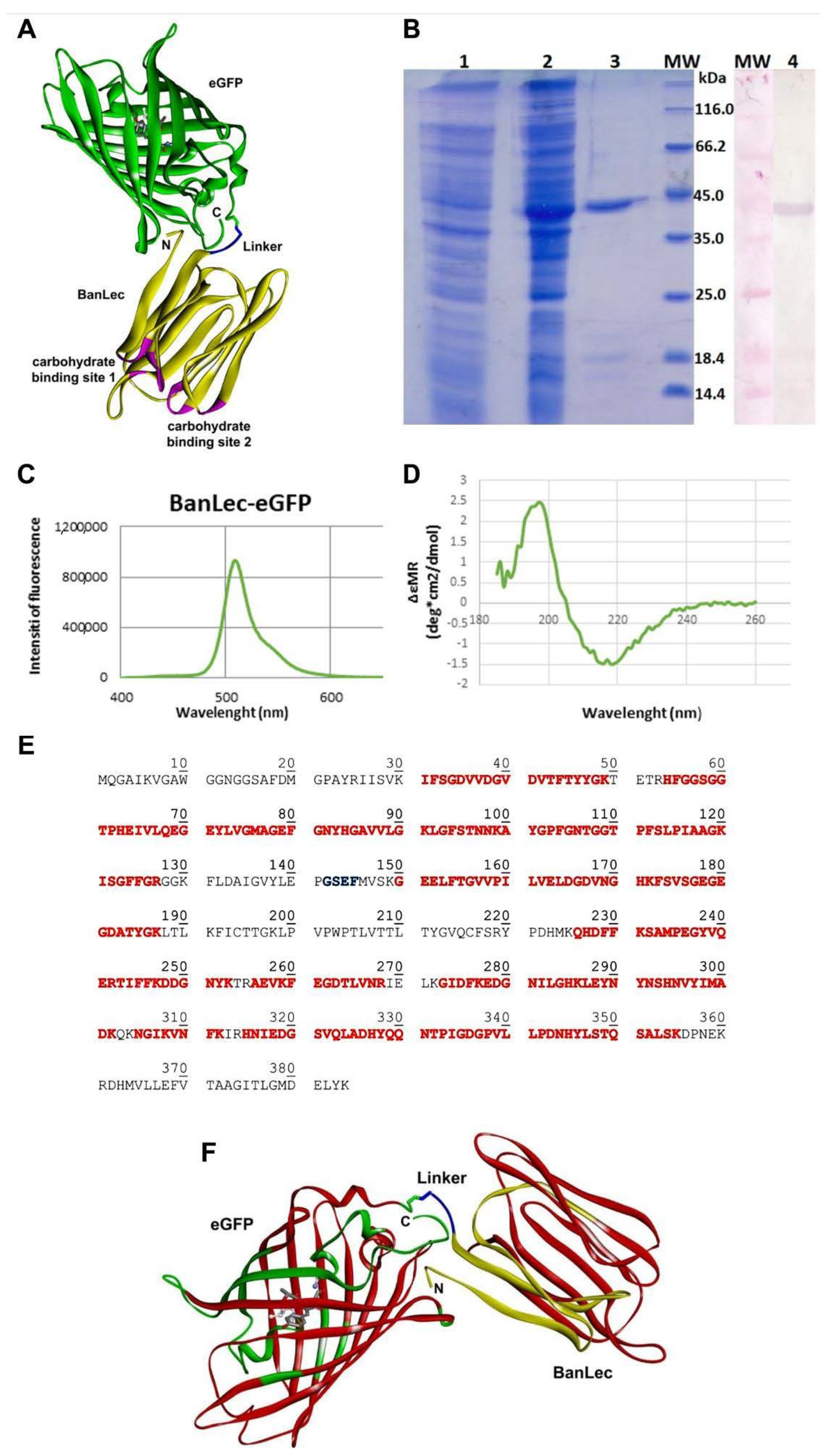 Biomolecules 11 00180 g001