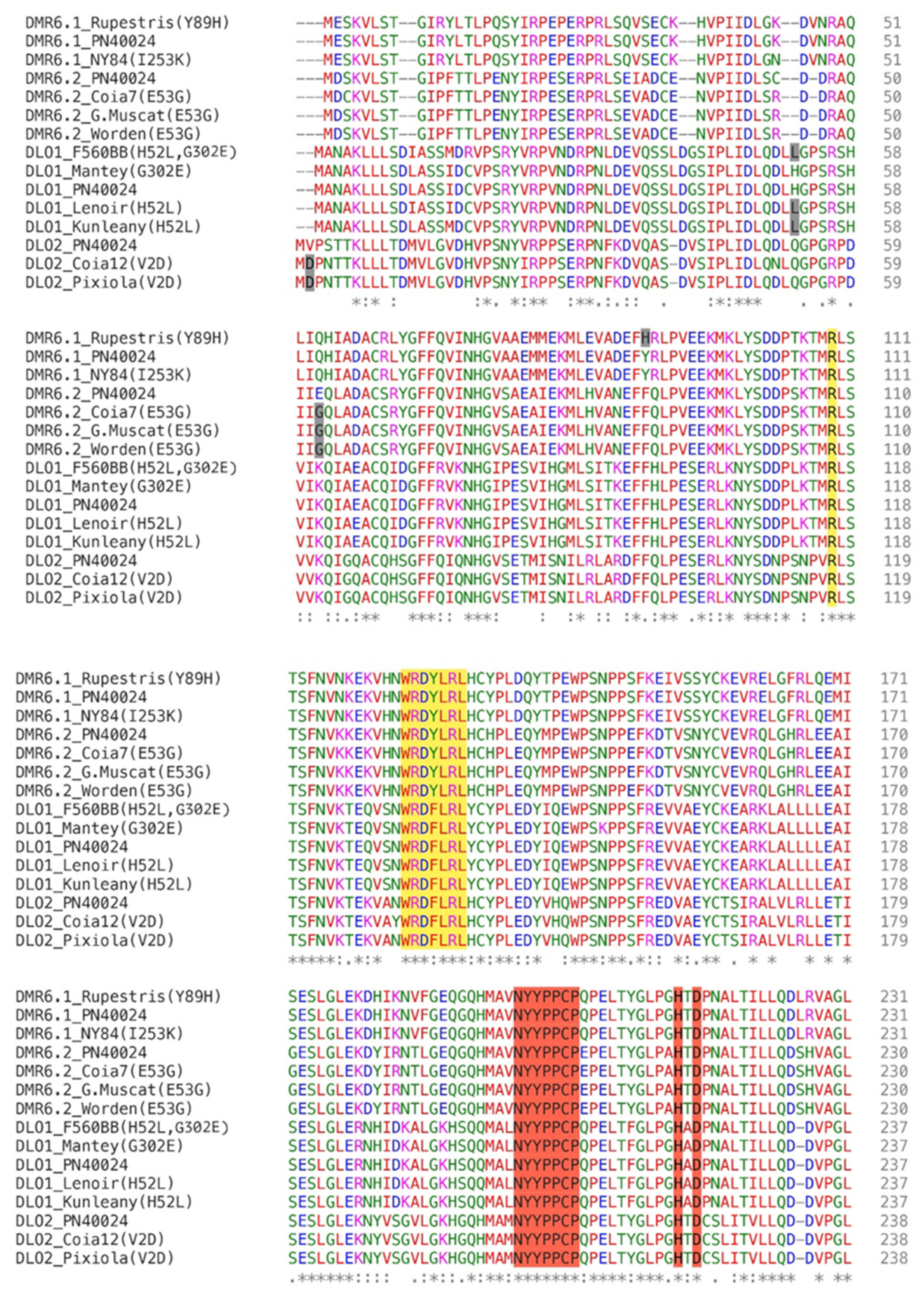 Biomolecules 11 00181 g002b Biomolecules 11 00181 g002b