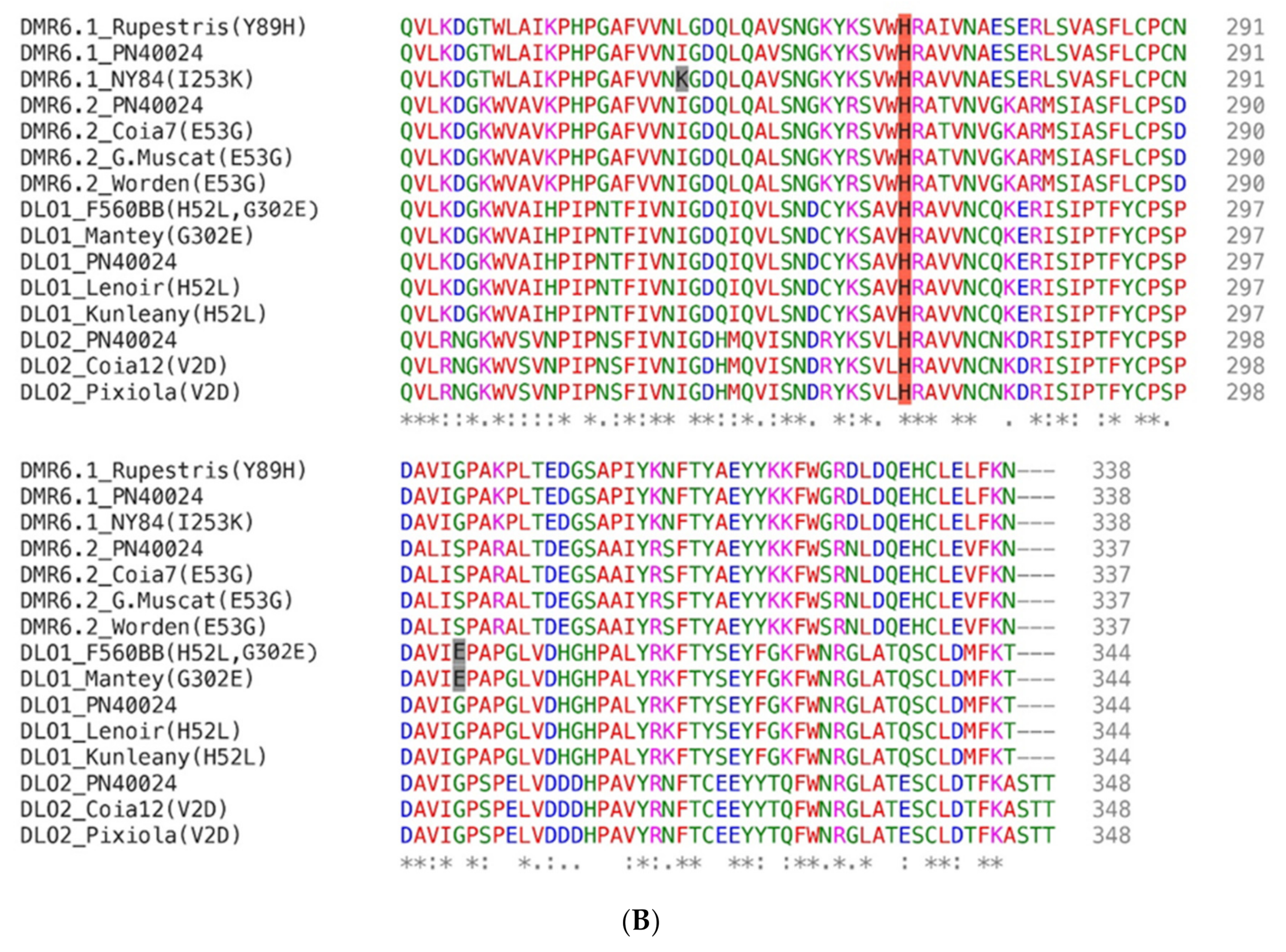 Biomolecules 11 00181 g002c Biomolecules 11 00181 g002c