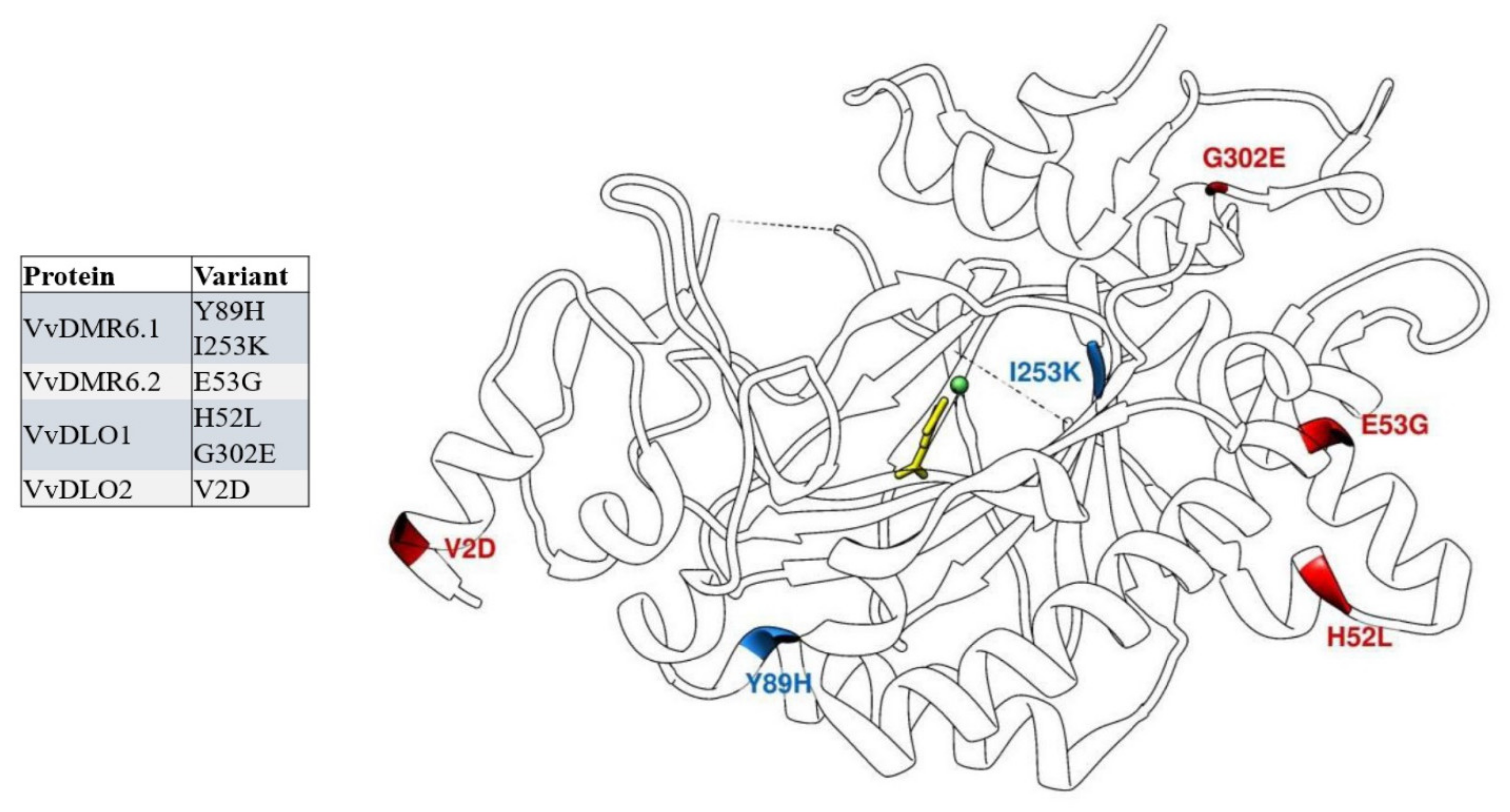 Biomolecules 11 00181 g003 Biomolecules 11 00181 g003