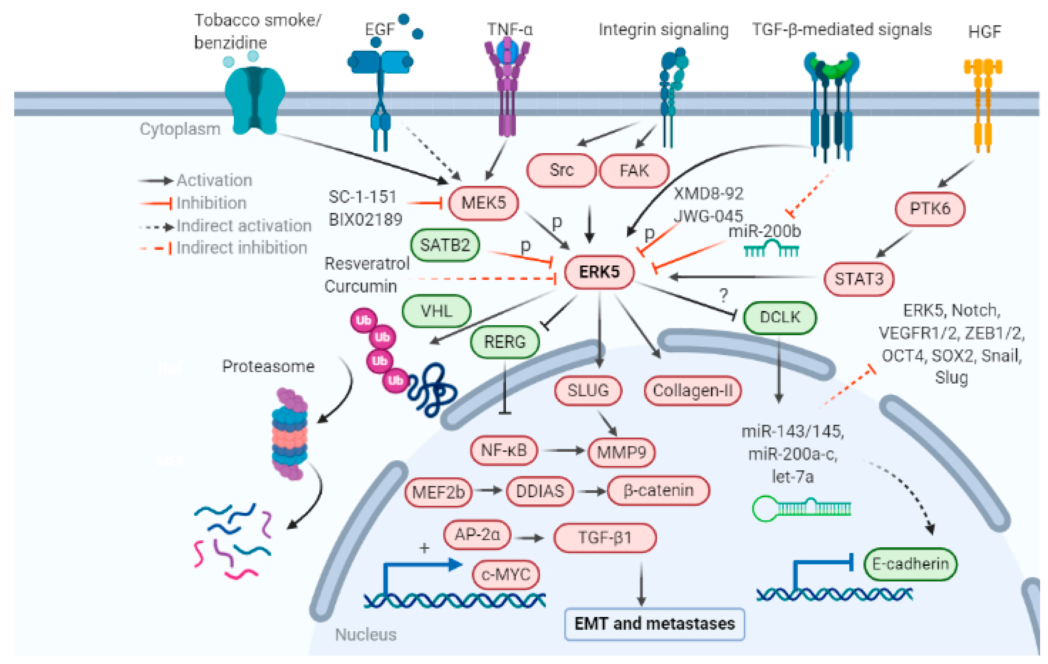 Biomolecules 11 00183 g002 Biomolecules 11 00183 g002