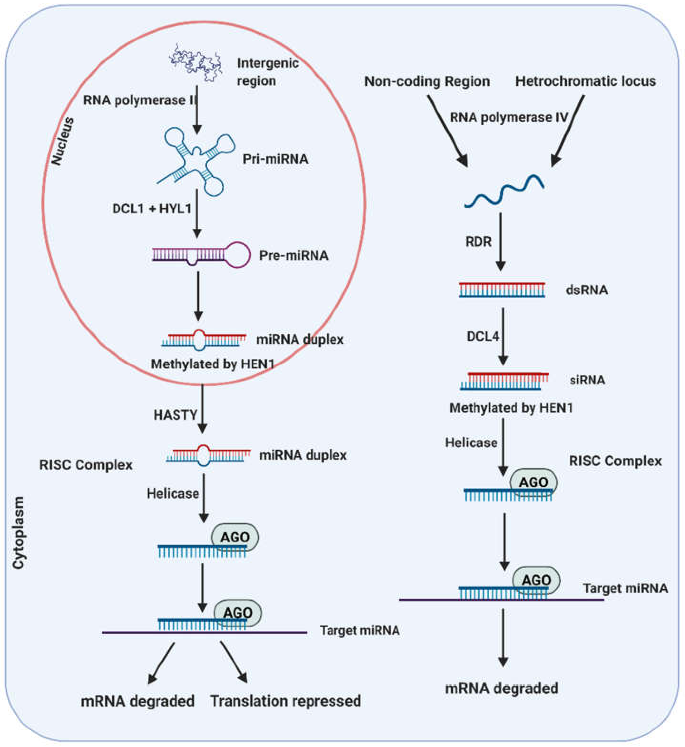 Biomolecules 11 00184 g002 Biomolecules 11 00184 g002