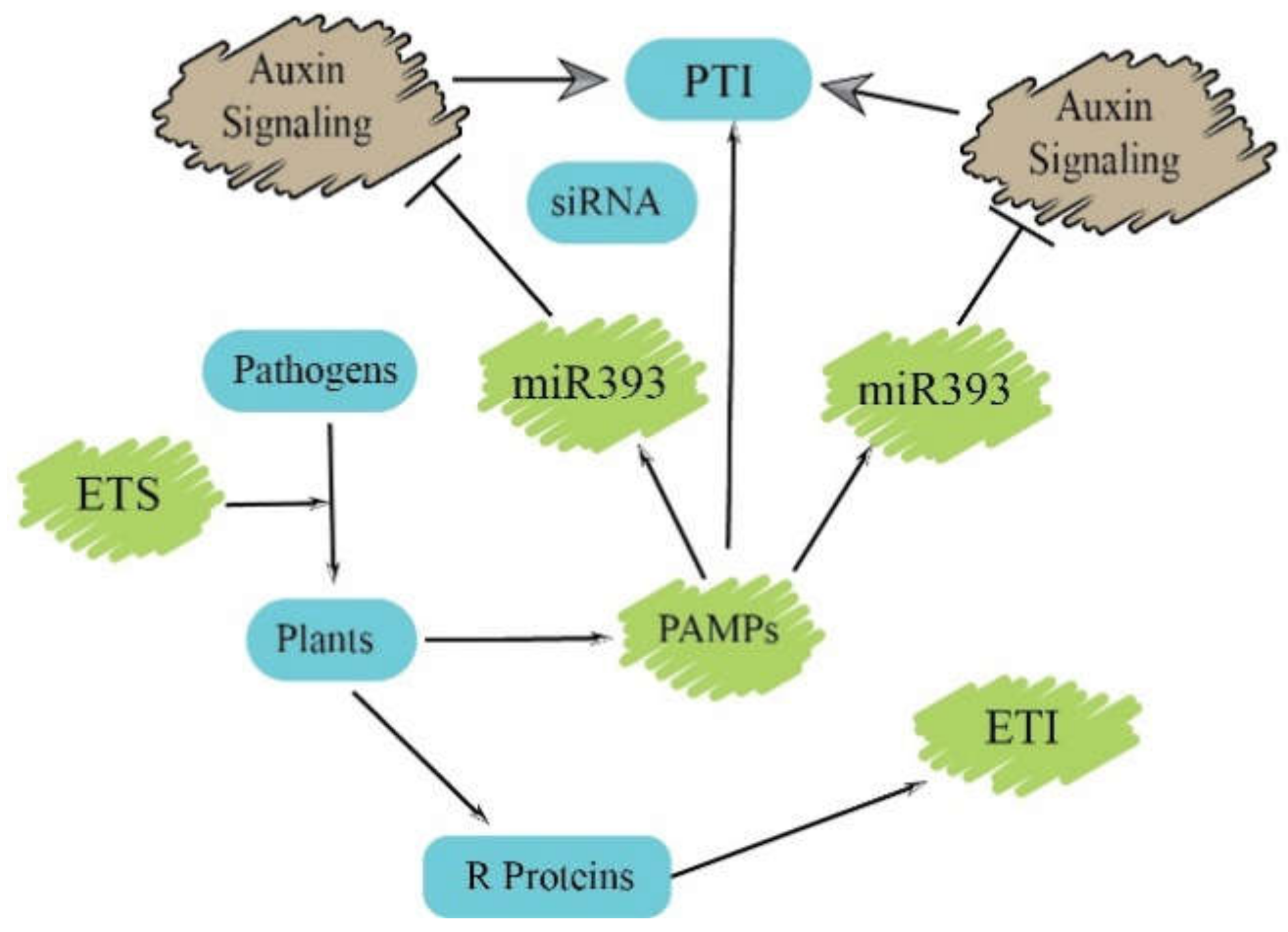 Biomolecules 11 00184 g003 Biomolecules 11 00184 g003