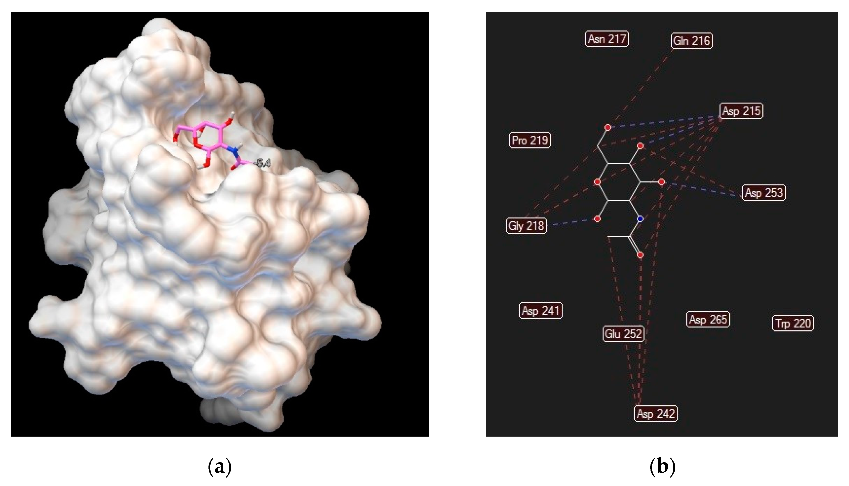 Biomolecules 11 00188 g003