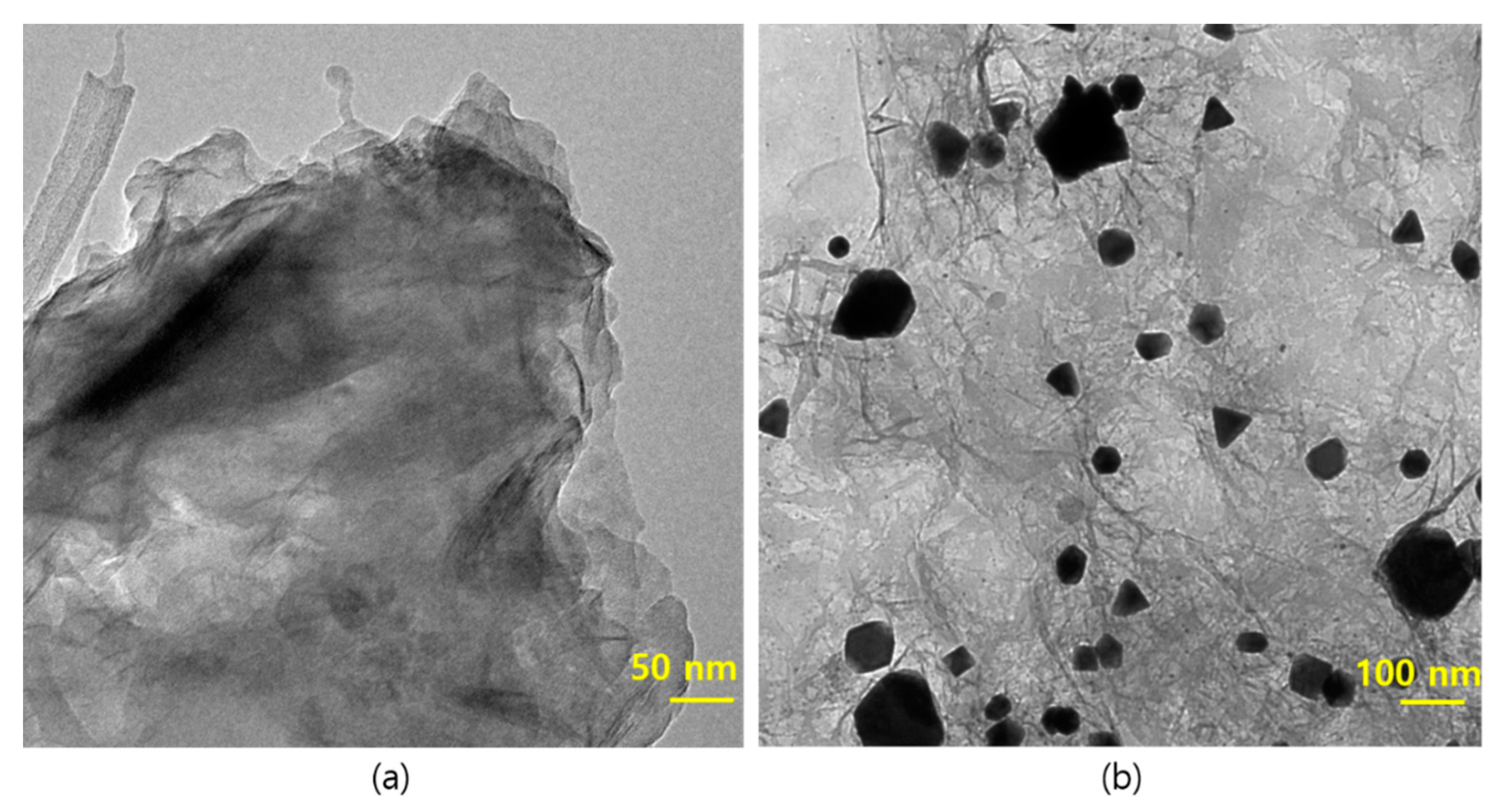 Biomolecules 11 00190 g005