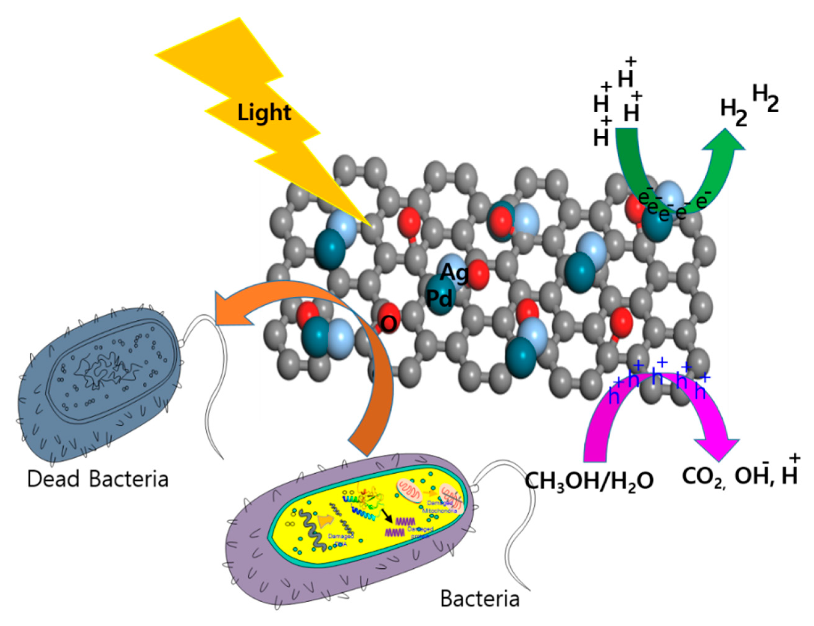 Biomolecules 11 00190 g008