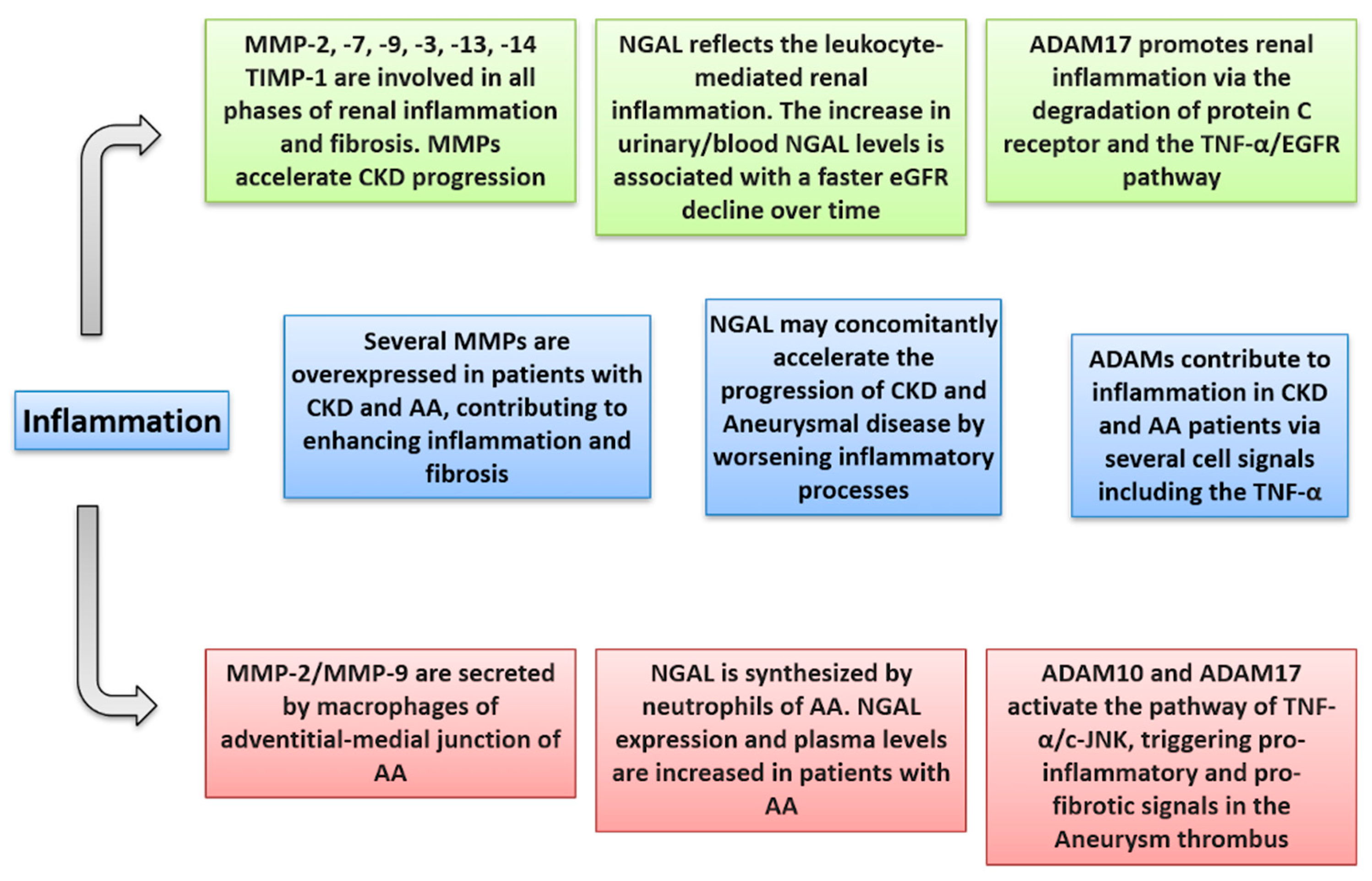 Biomolecules 11 00194 g002 Biomolecules 11 00194 g002