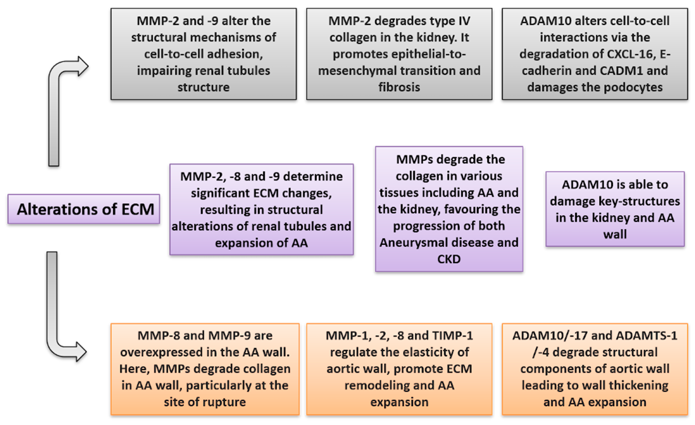 Biomolecules 11 00194 g003 Biomolecules 11 00194 g003