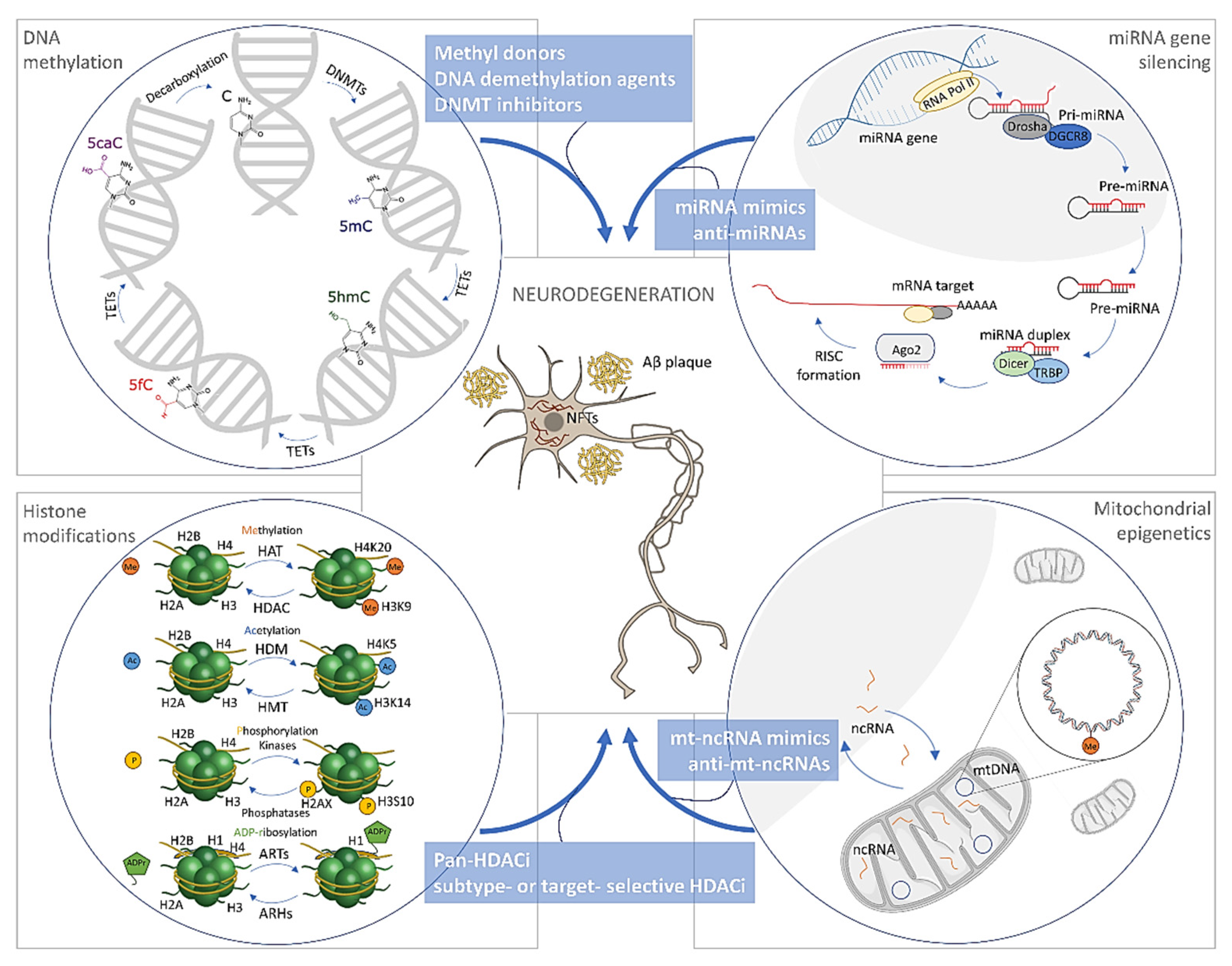 Biomolecules 11 00195 g001 Biomolecules 11 00195 g001