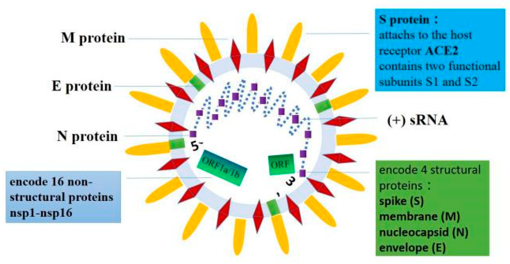 Biomolecules 11 00196 g001 Biomolecules 11 00196 g001