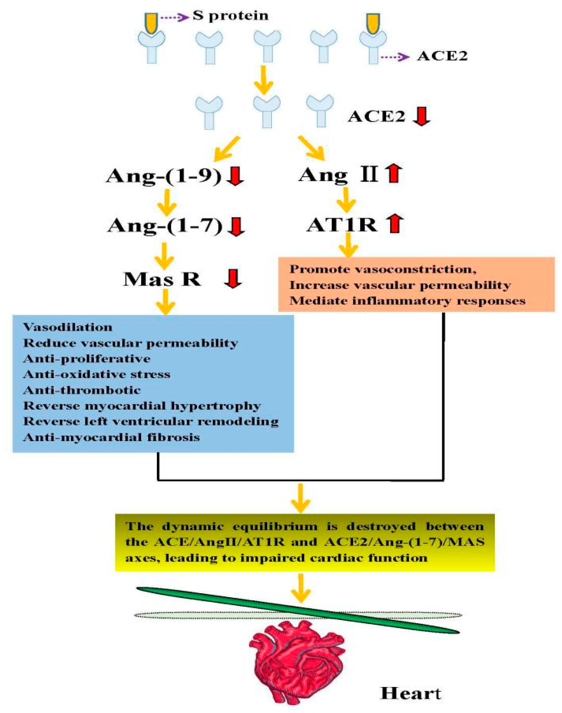Biomolecules 11 00196 g002 Biomolecules 11 00196 g002