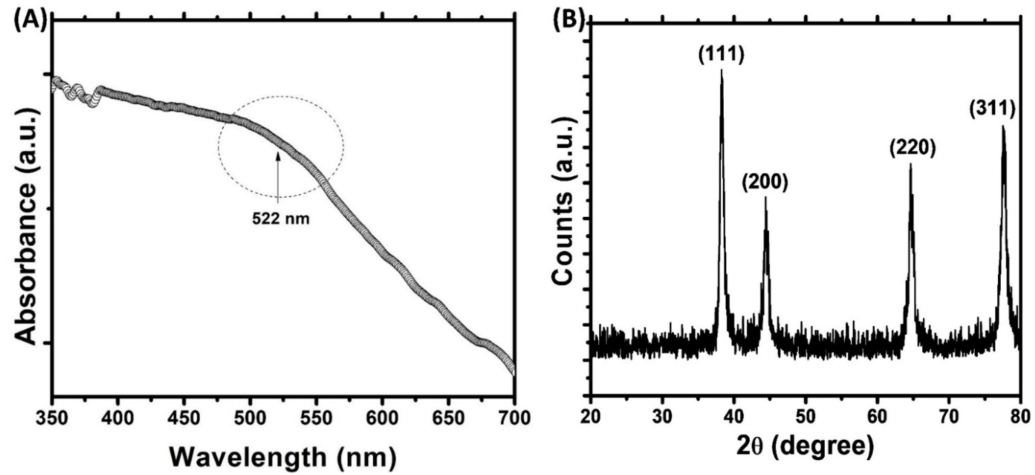 Biomolecules 11 00197 g001 Biomolecules 11 00197 g001
